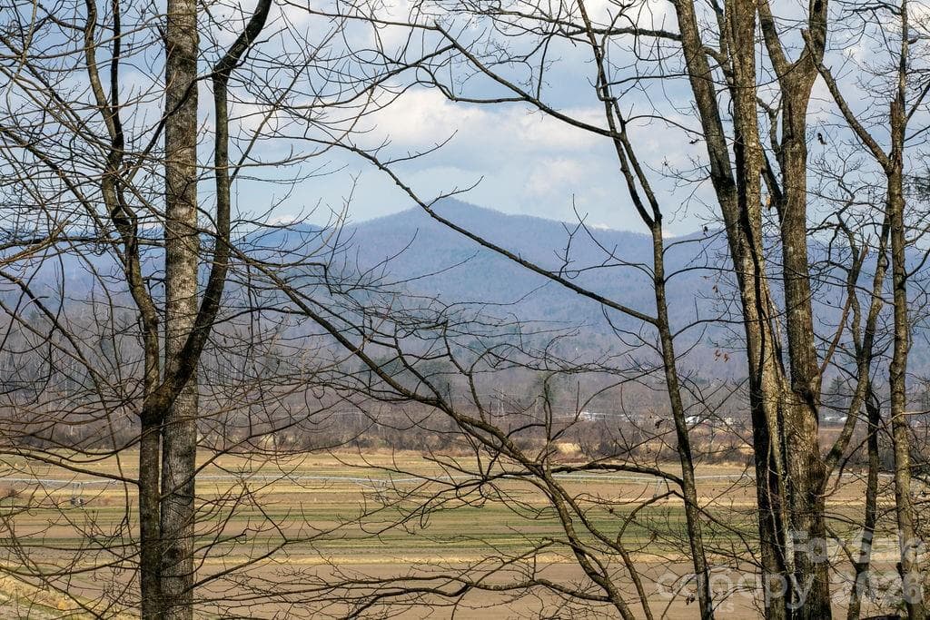Lot at Pisgah Forest, photo 5 of 12