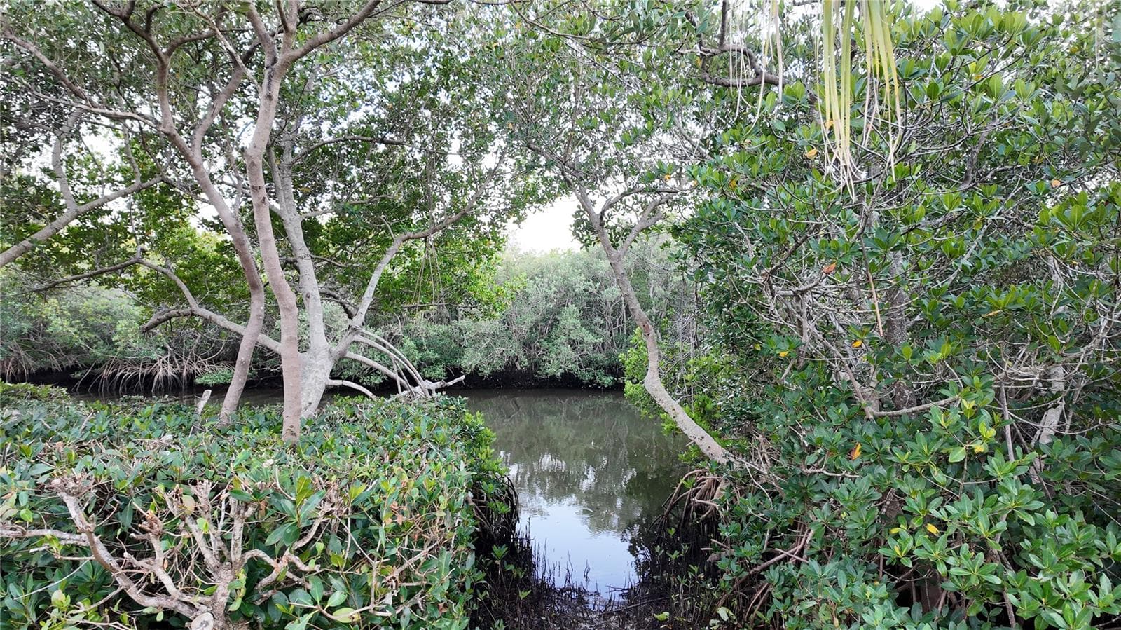 Kayak/Small boat launch - 1500 SUNSET RD BLDG C #C7, TARPON SPRINGS