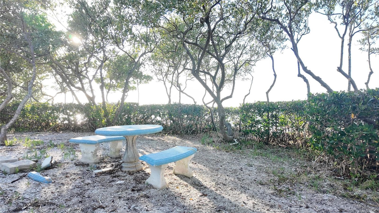 Townhouse at 1500 SUNSET RD BLDG C #C7, TARPON SPRINGS, photo 30 of 70