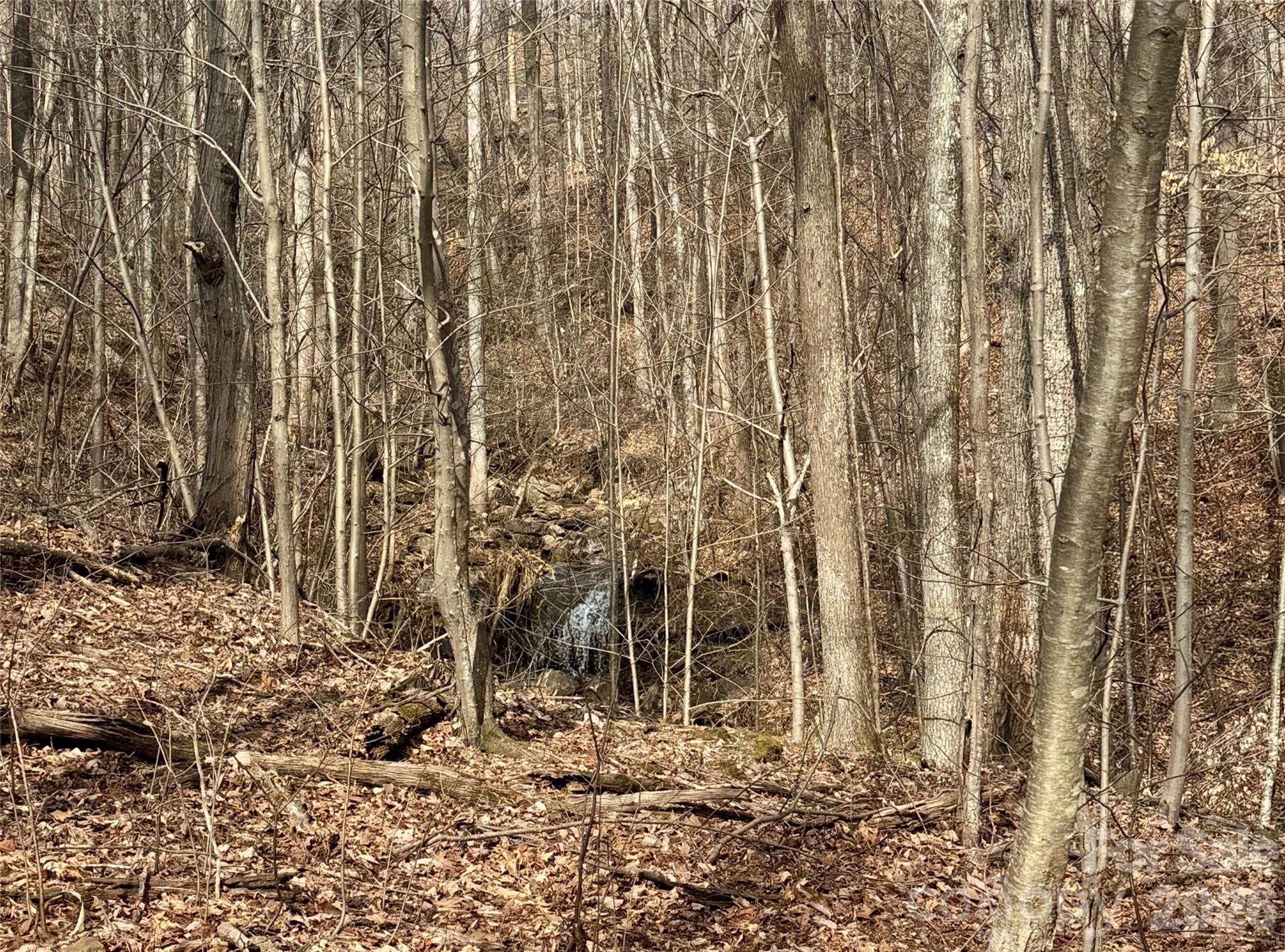 Waterfall (on community shared property) adjoins lot. - Mill Spring