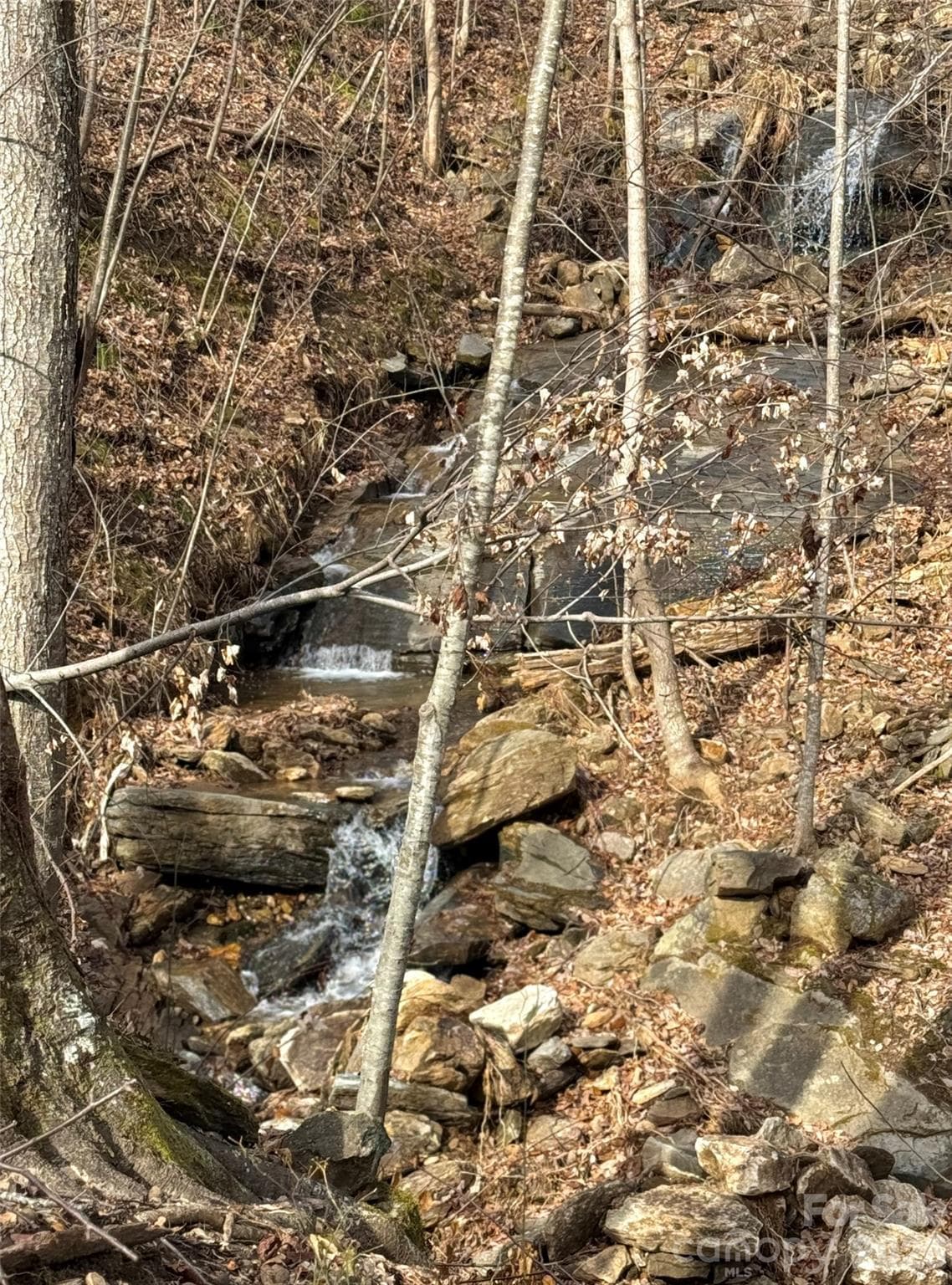 Lot at Mill Spring, photo 3 of 13