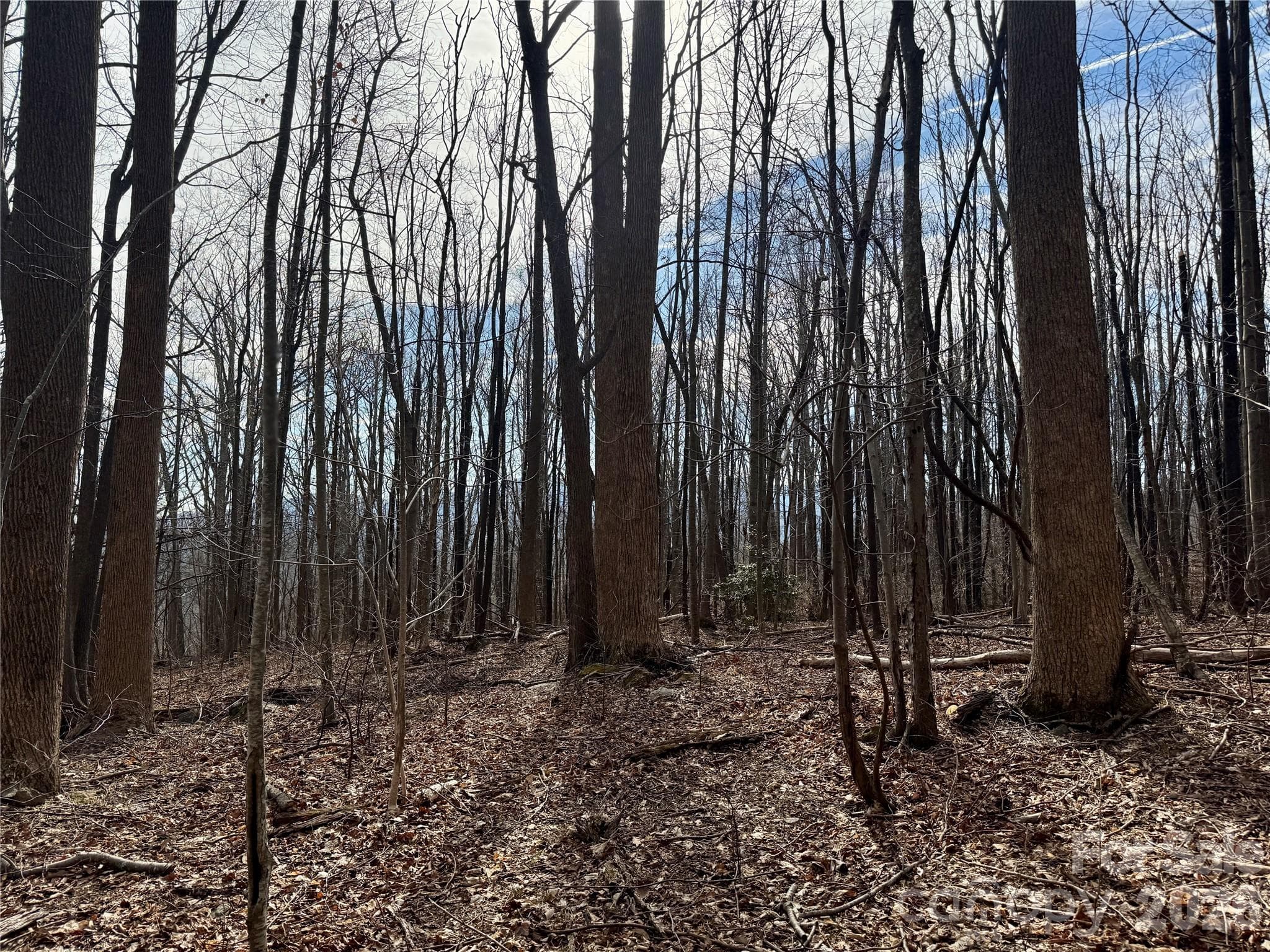 Lot at Mill Spring, photo 4 of 13