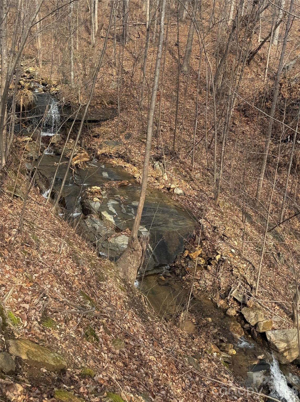 Property abuts beautiful waterfall - Mill Spring