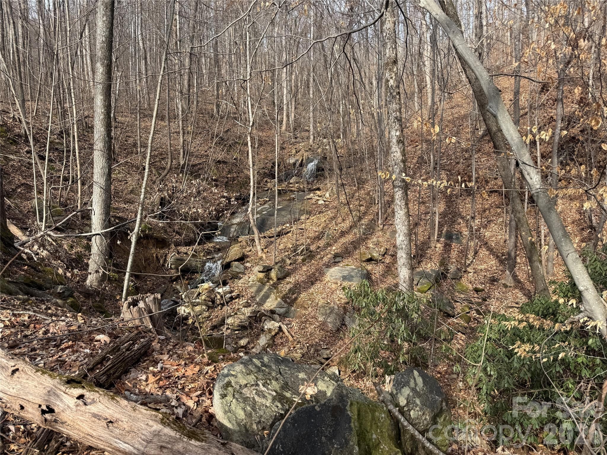 Lot at Mill Spring, photo 7 of 13