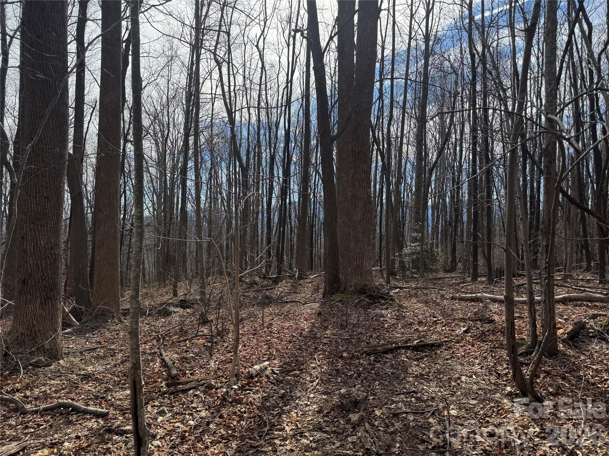 Lot at Mill Spring, photo 8 of 13