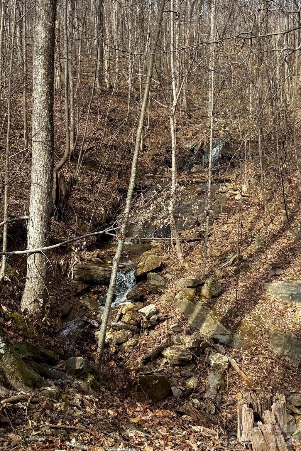 Lot at Mill Spring, photo 9 of 13