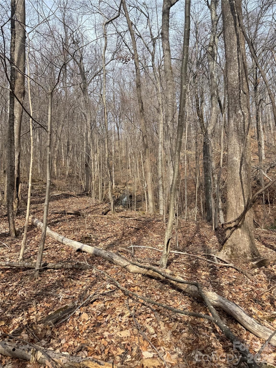 Lot at Mill Spring, photo 10 of 13
