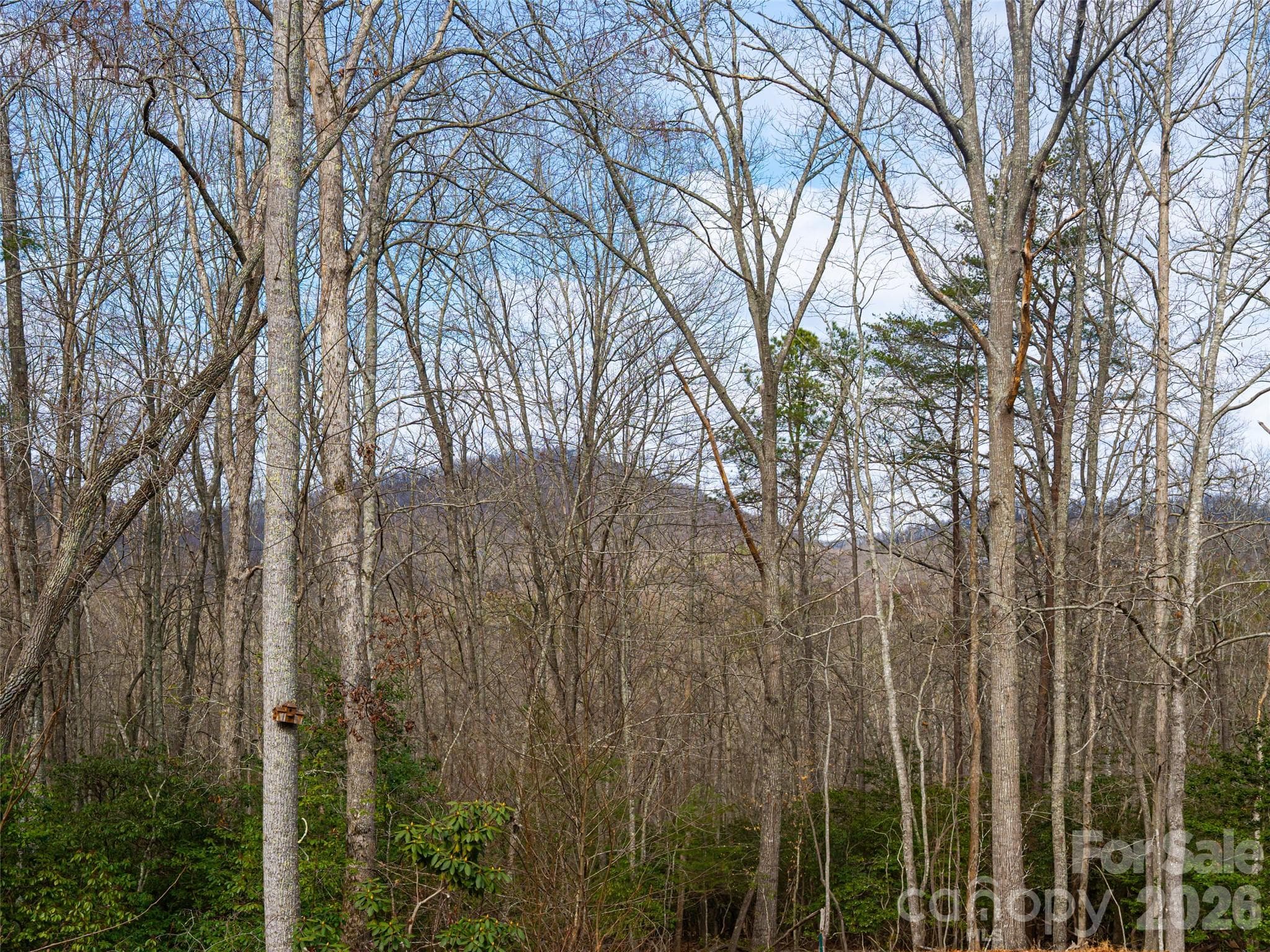 Winter Mountain Views - 508 Avery Creek Road, Arden