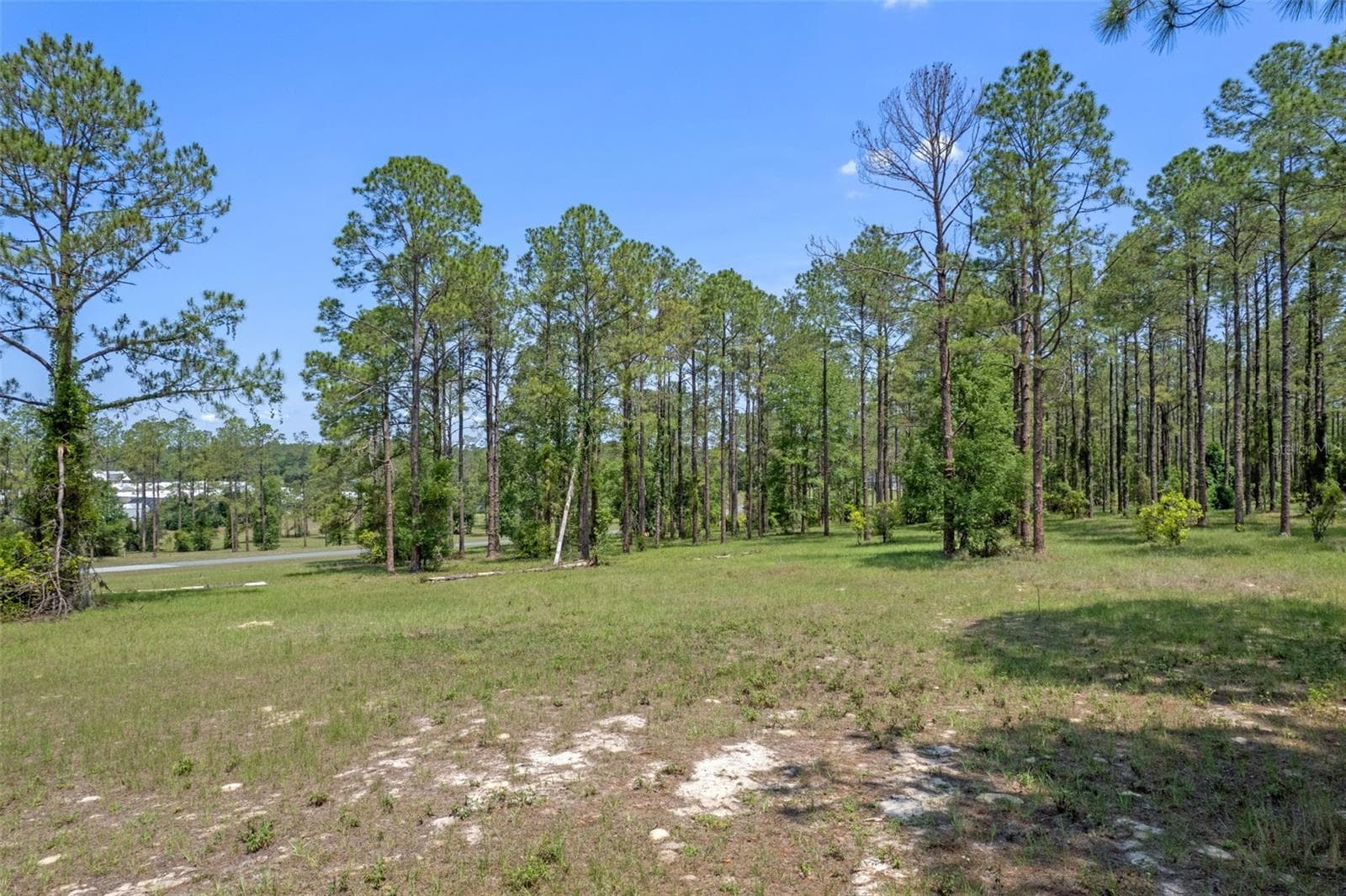 Land at 35408 PINEGATE TRL, EUSTIS, photo 2 of 16