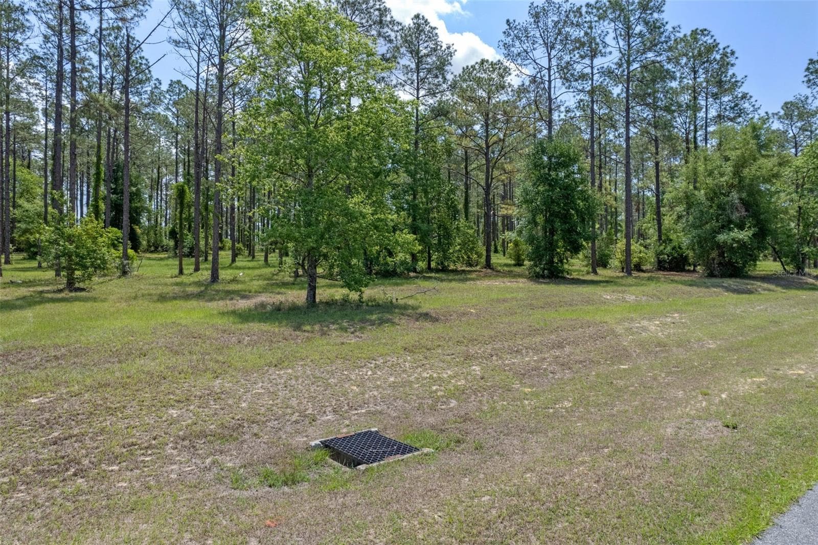 Land at 35408 PINEGATE TRL, EUSTIS, photo 3 of 16