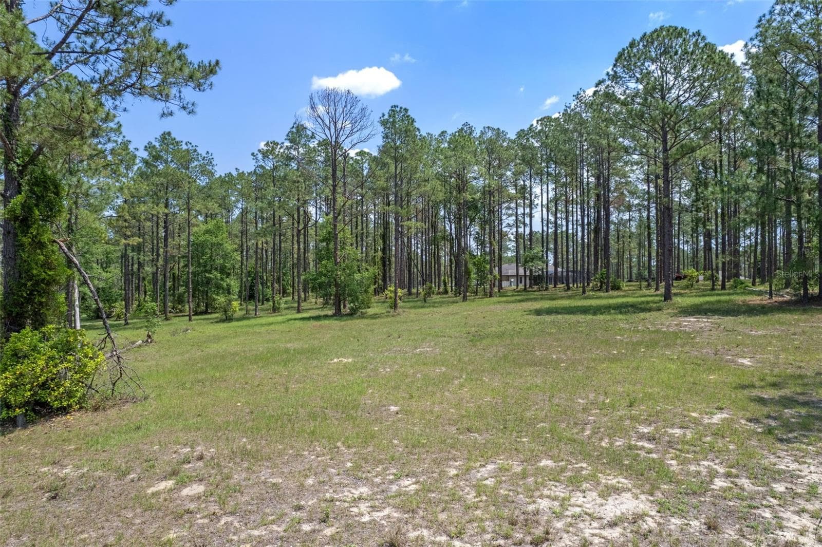 Land at 35408 PINEGATE TRL, EUSTIS, photo 5 of 16