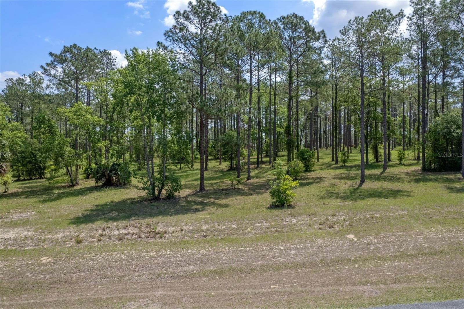 Land at 35408 PINEGATE TRL, EUSTIS, photo 7 of 16