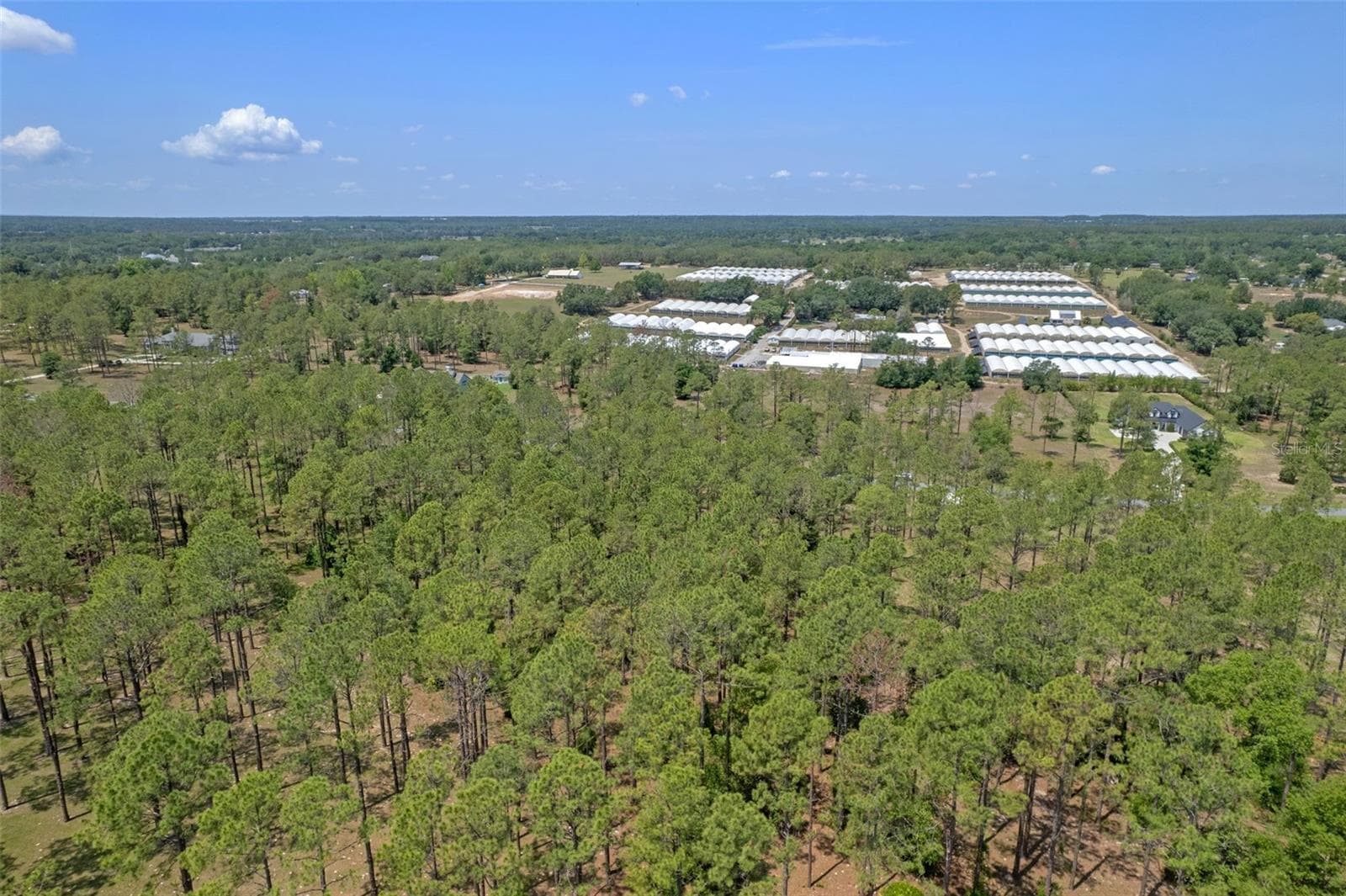 Land at 35408 PINEGATE TRL, EUSTIS, photo 16 of 16