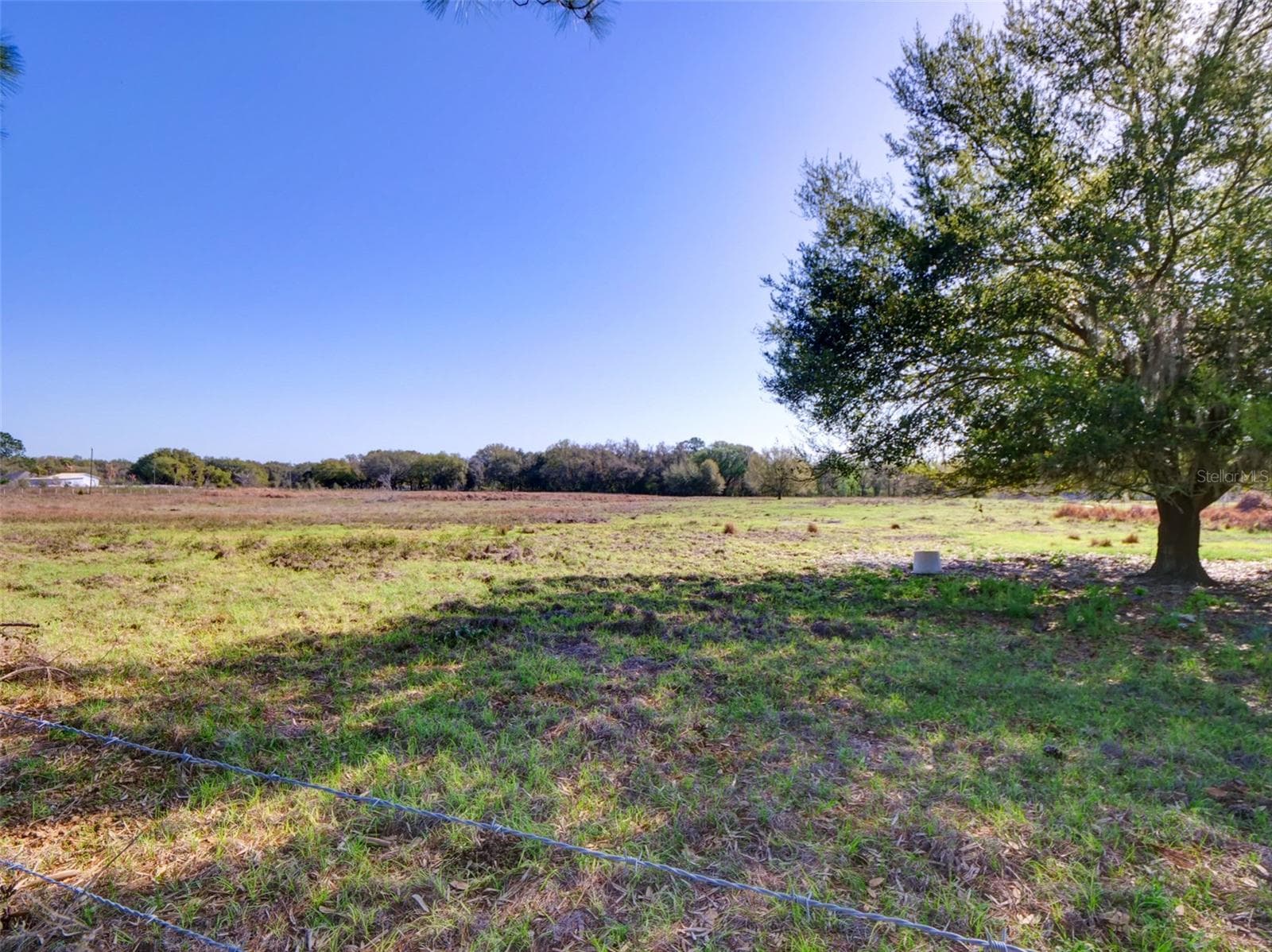 Land at 000000- CR 614A, BUSHNELL, photo 2 of 19