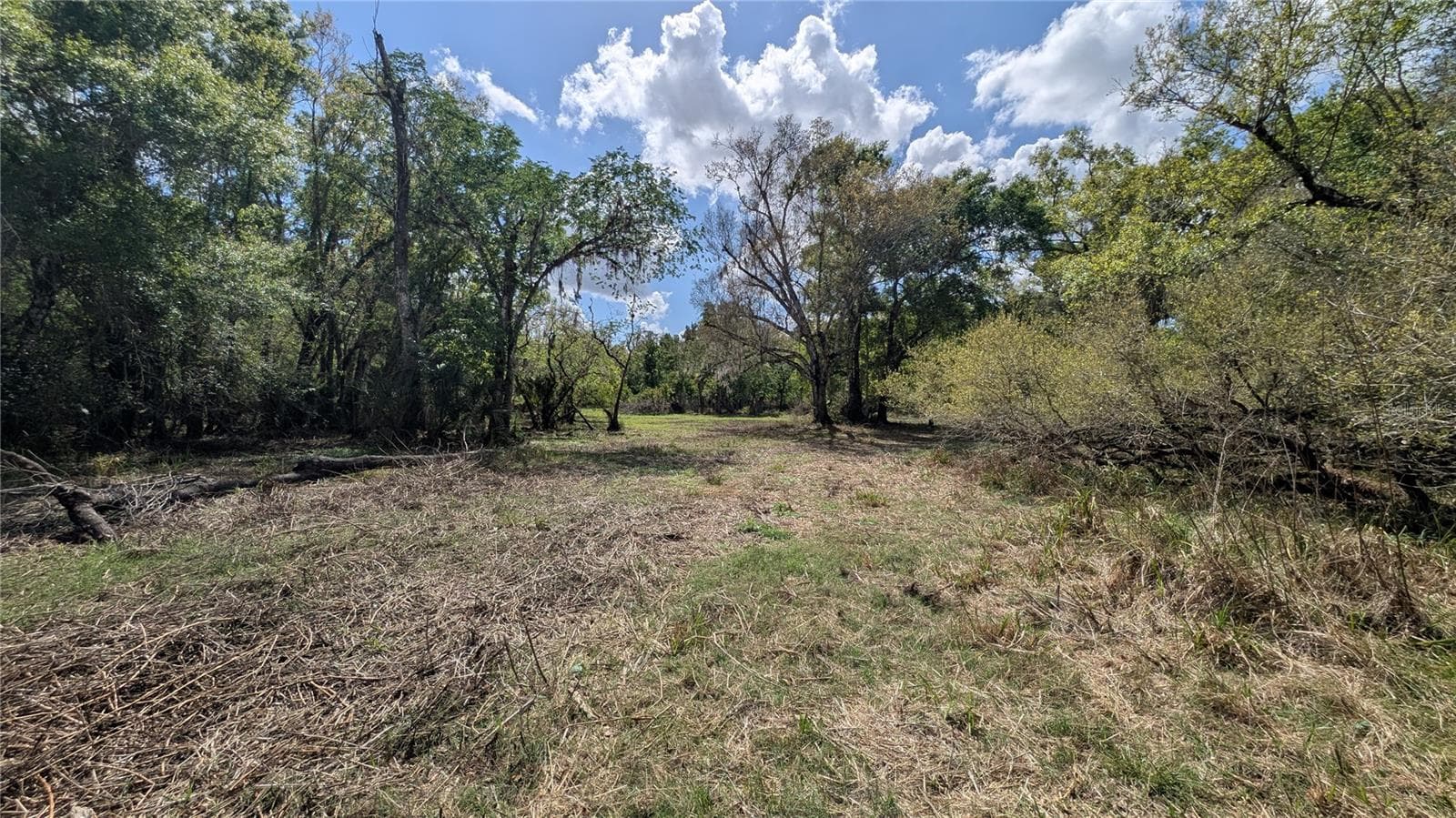 Land at GILLETTE RD, ZOLFO SPRINGS, photo 15 of 86