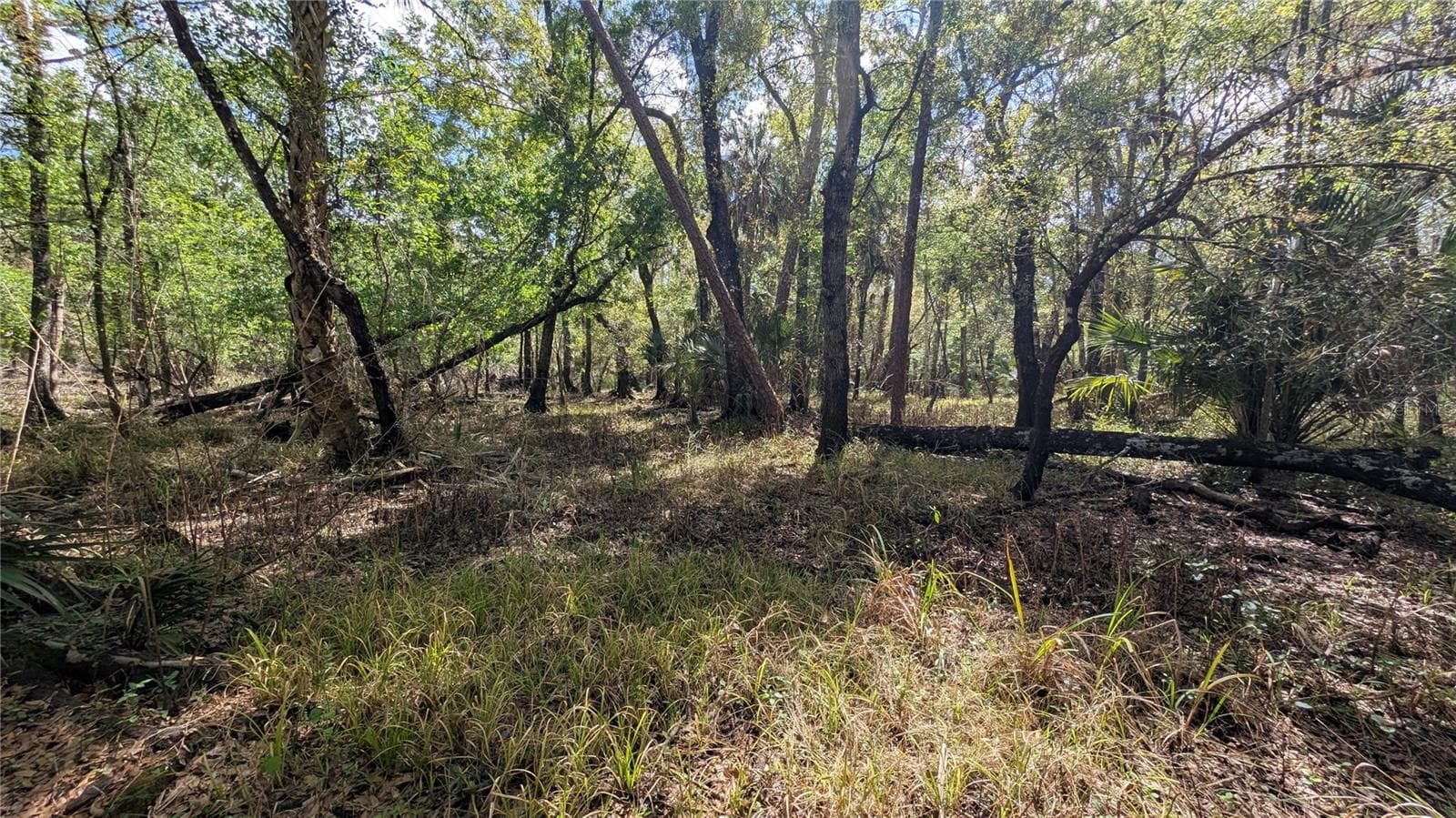 Land at GILLETTE RD, ZOLFO SPRINGS, photo 18 of 86