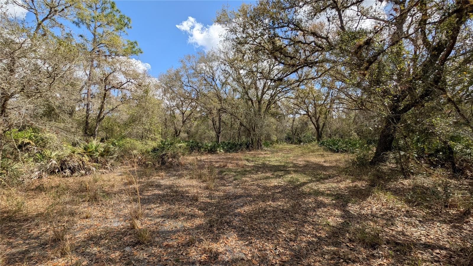 Land at GILLETTE RD, ZOLFO SPRINGS, photo 31 of 86