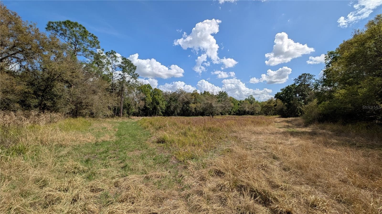 Land at GILLETTE RD, ZOLFO SPRINGS, photo 3 of 86