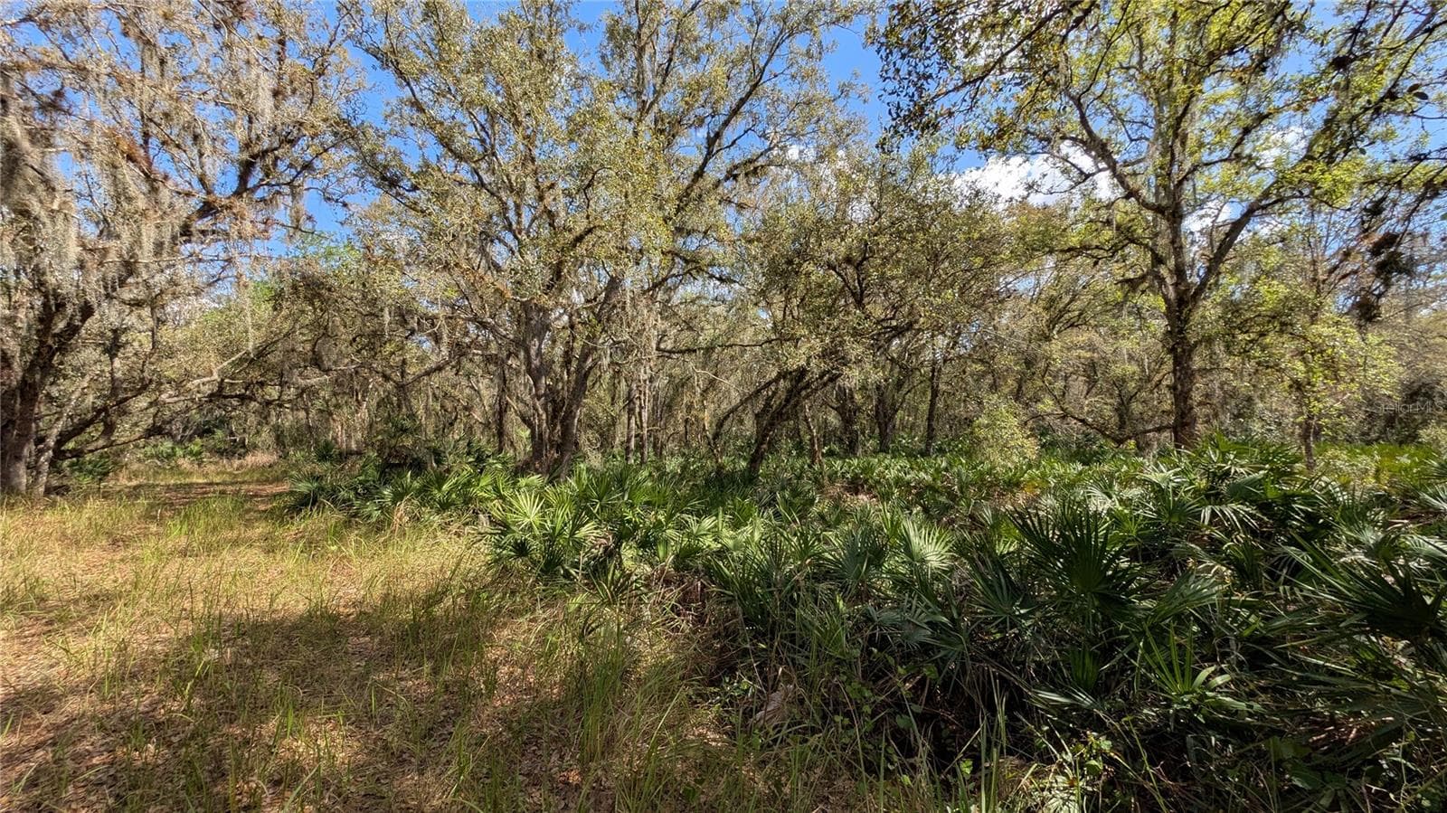 Land at GILLETTE RD, ZOLFO SPRINGS, photo 42 of 86