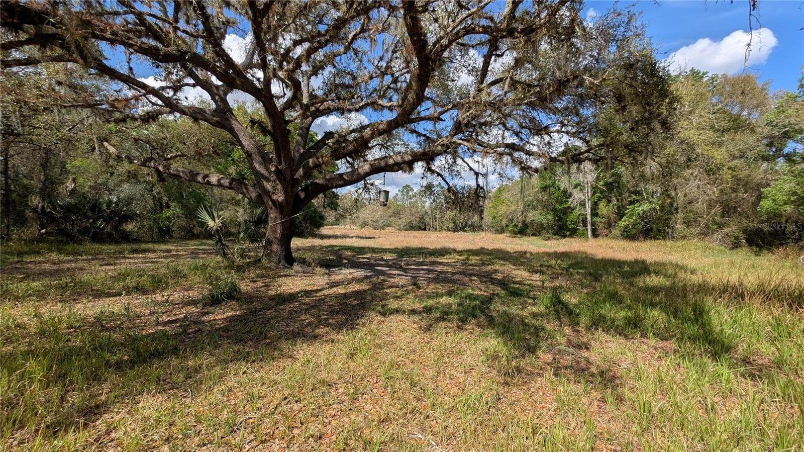 Land at GILLETTE RD, ZOLFO SPRINGS, photo 57 of 86