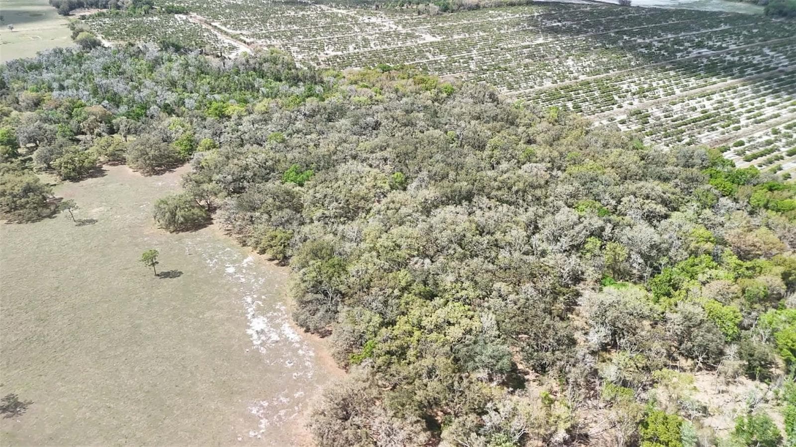 Land at GILLETTE RD, ZOLFO SPRINGS, photo 58 of 86