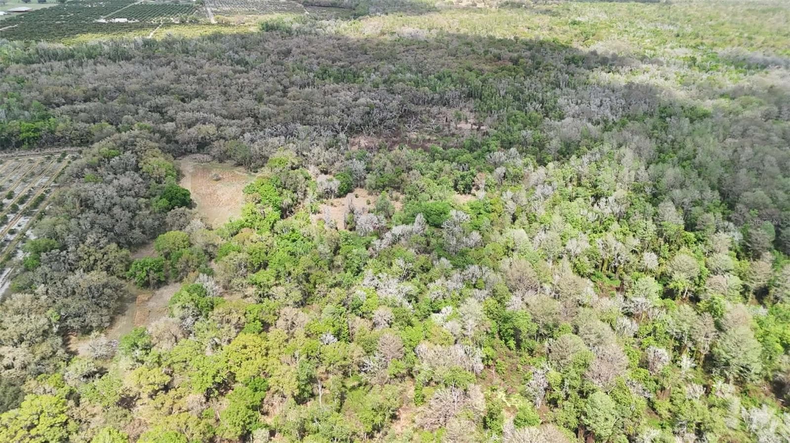 Land at GILLETTE RD, ZOLFO SPRINGS, photo 59 of 86