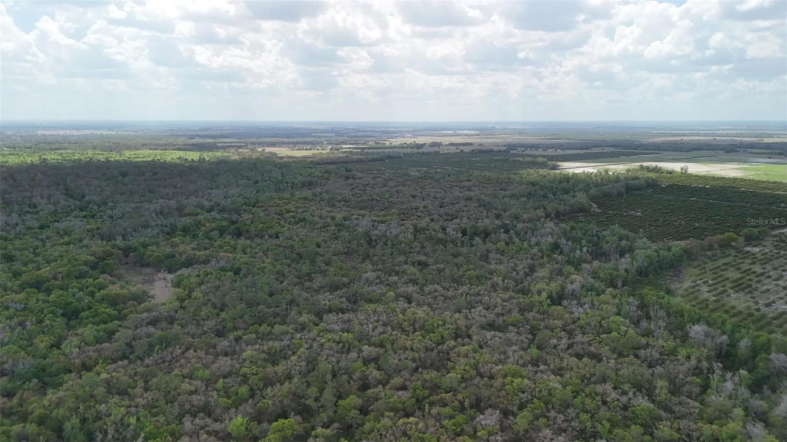 Land at GILLETTE RD, ZOLFO SPRINGS, photo 66 of 86
