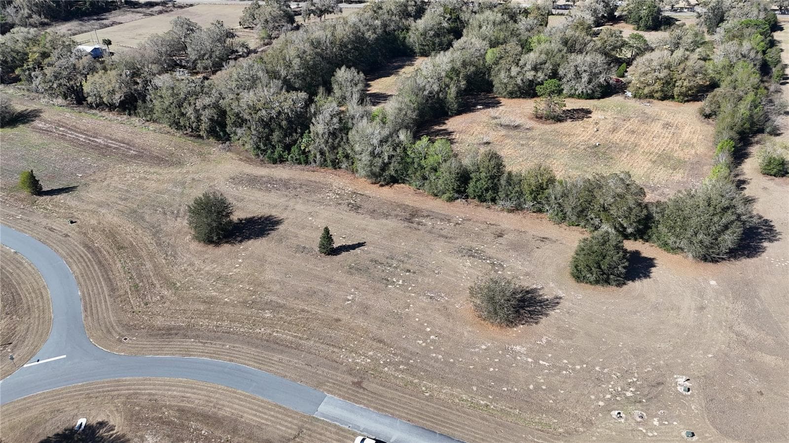 Land at 0 SE 7TH CT, OCALA, photo 5 of 11