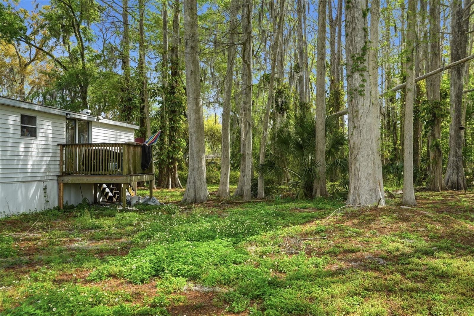 Manufactured Home at 8604 CAMEO DR, NEW PORT RICHEY, photo 26 of 38