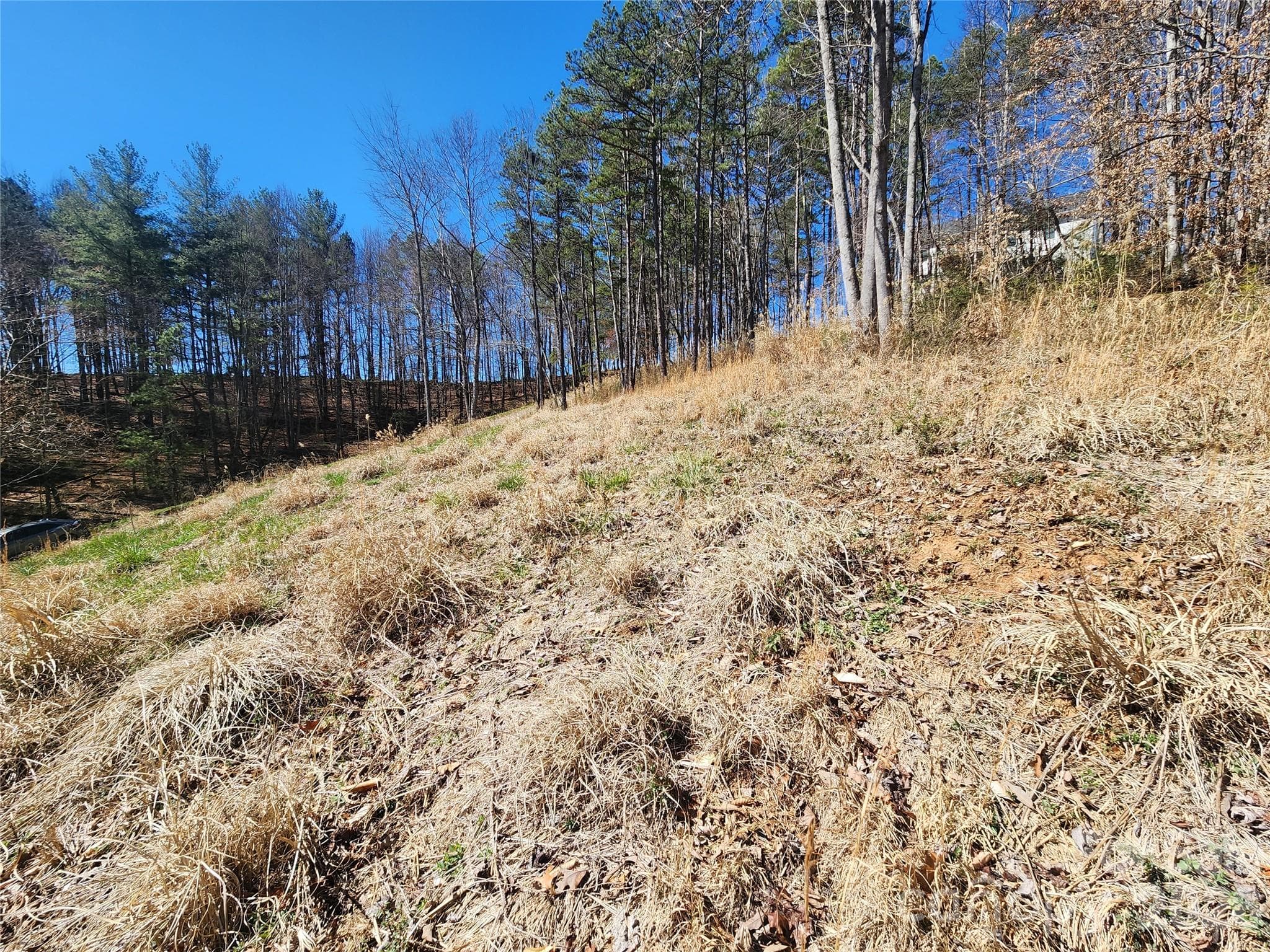 Lot at Mars Hill, photo 5 of 11