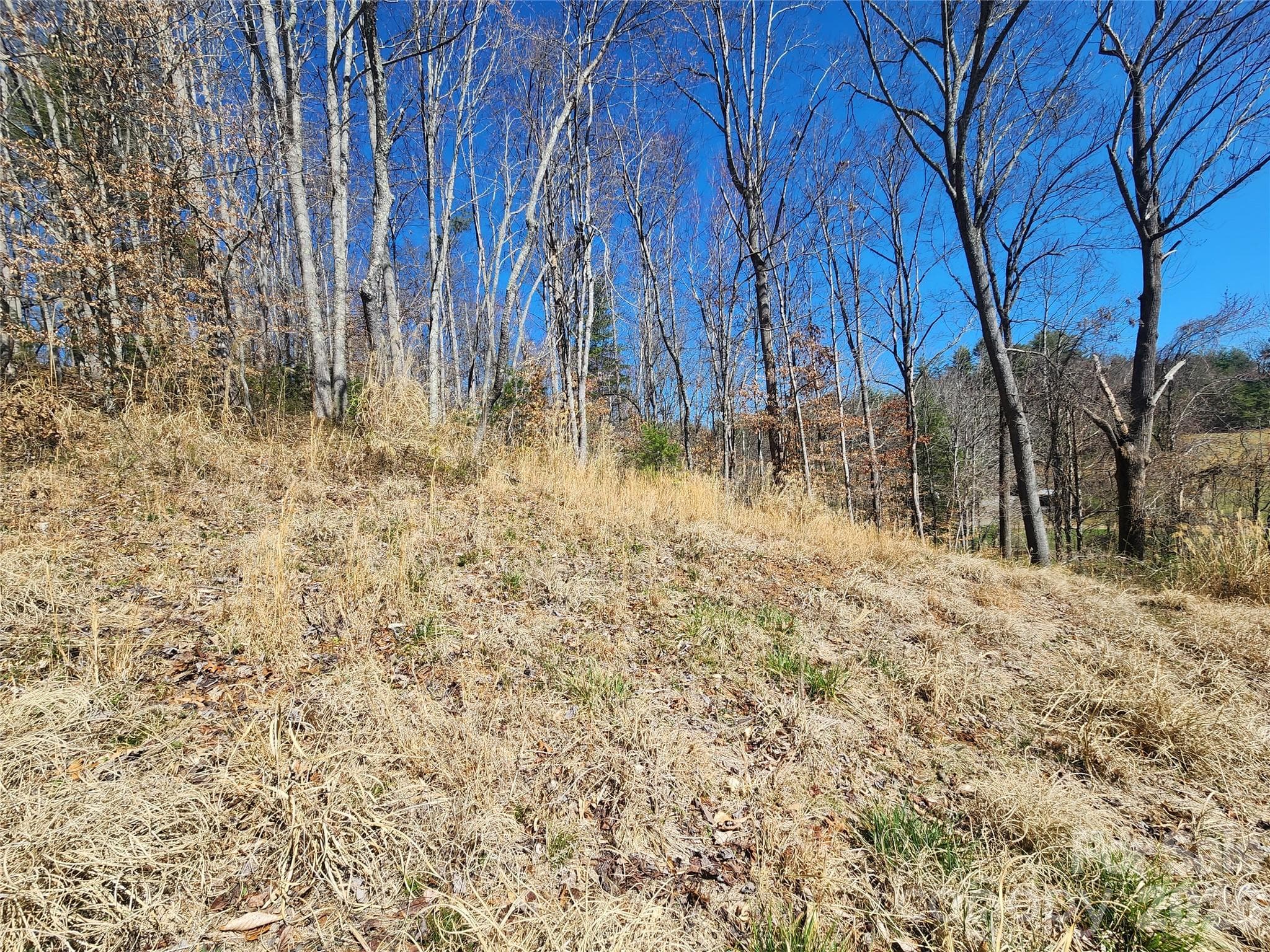 Lot at Mars Hill, photo 6 of 11