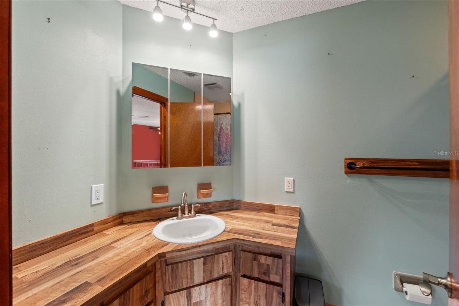 primary guest bathroom - 1357 DINSMORE CT, NEW PORT RICHEY