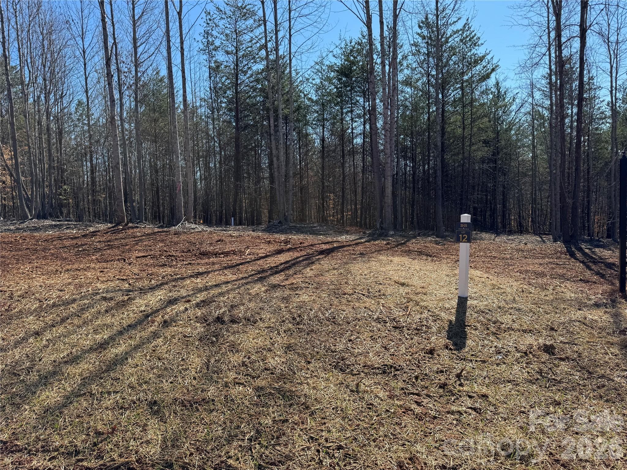 Lot at Davidson, photo 3 of 26