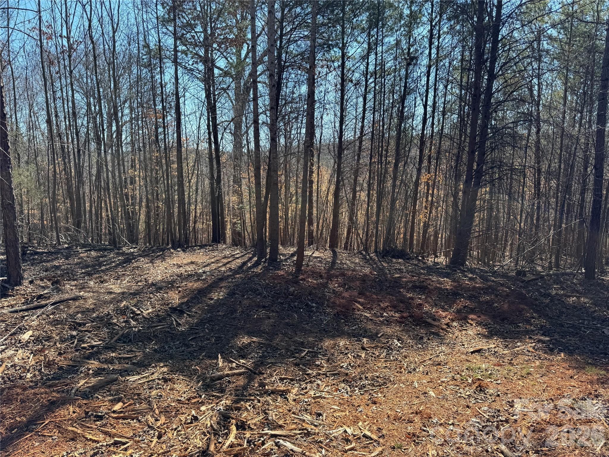 Lot at Davidson, photo 4 of 26