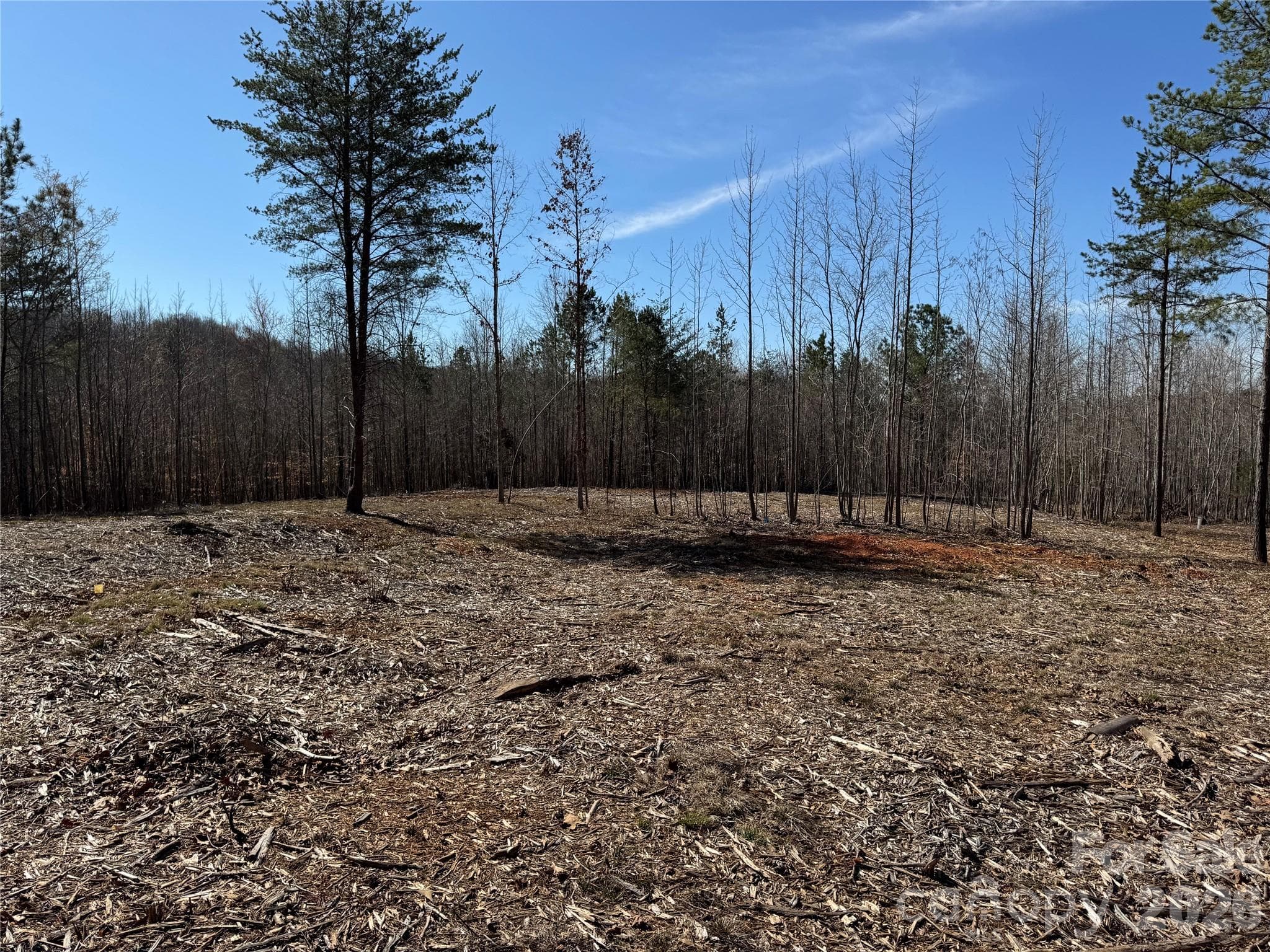 Lot at Davidson, photo 5 of 26