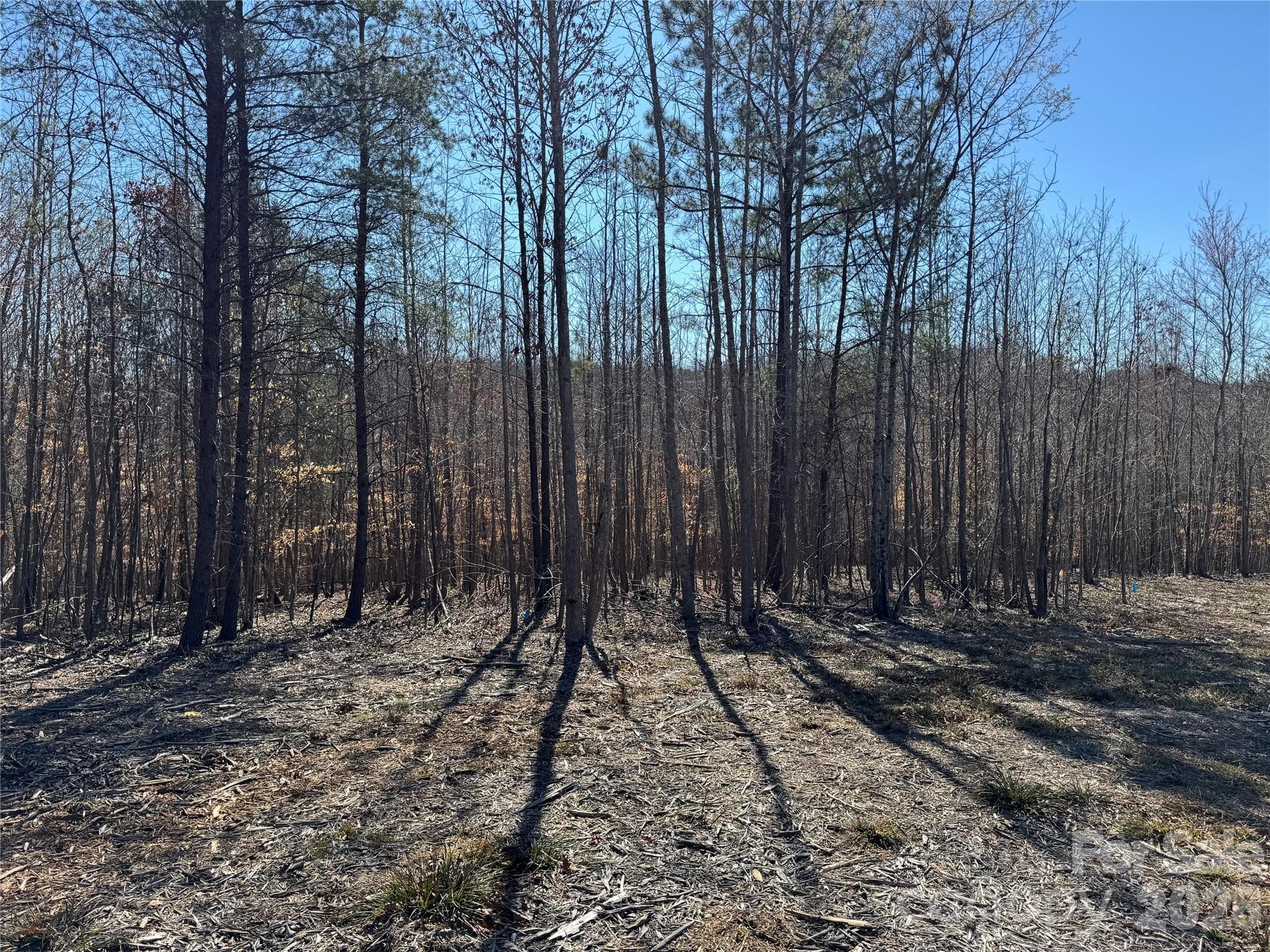 Lot at Davidson, photo 6 of 26