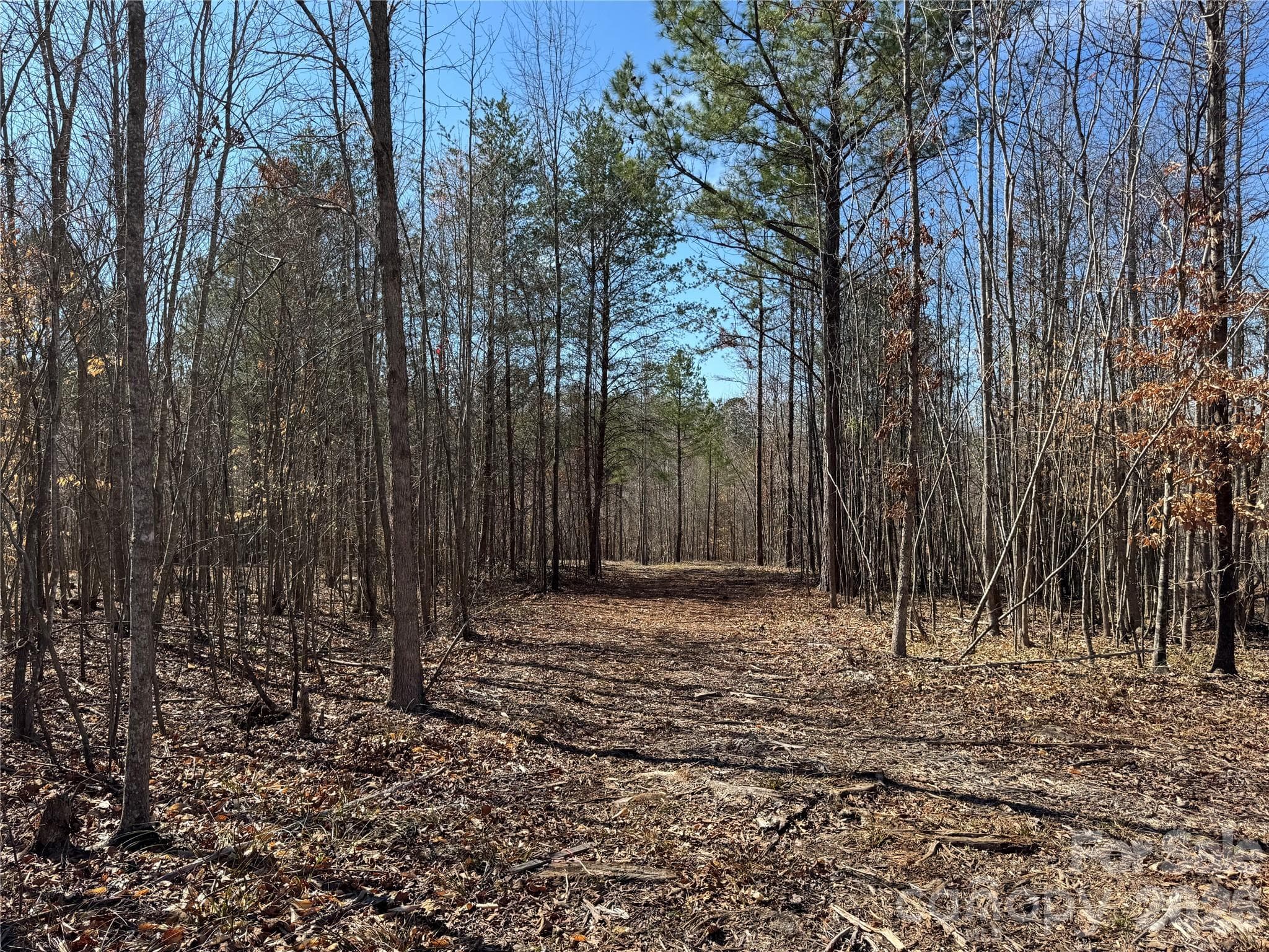 Lot at Davidson, photo 7 of 26