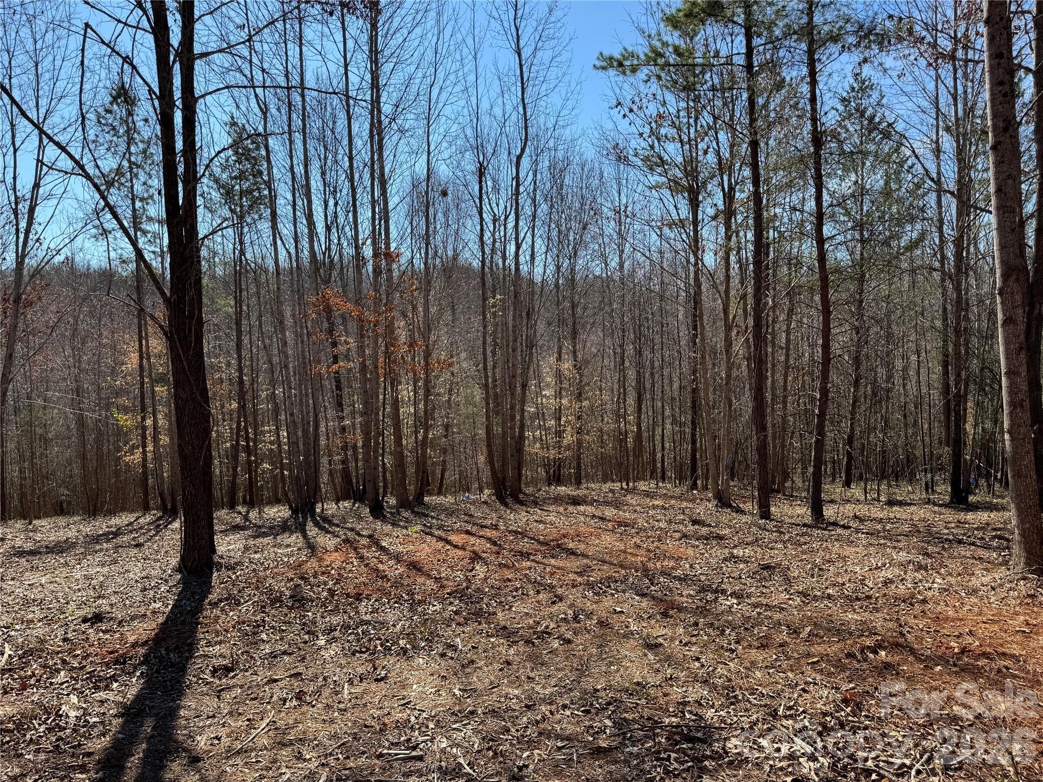 Lot at Davidson, photo 8 of 26