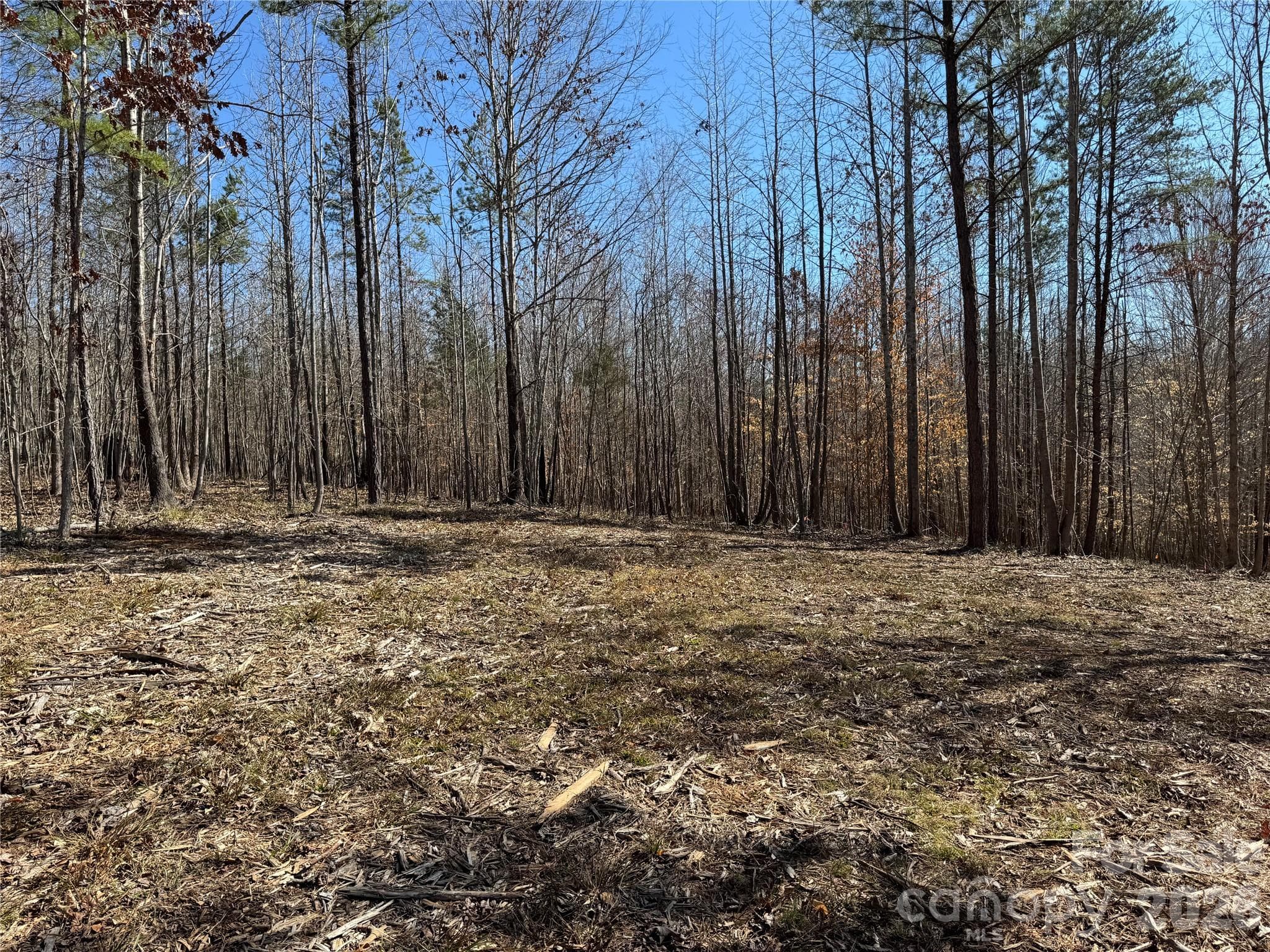 Lot at Davidson, photo 9 of 26