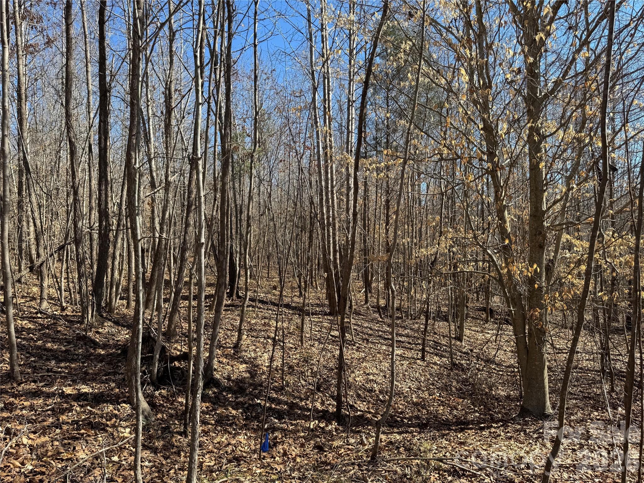 Lot at Davidson, photo 10 of 26