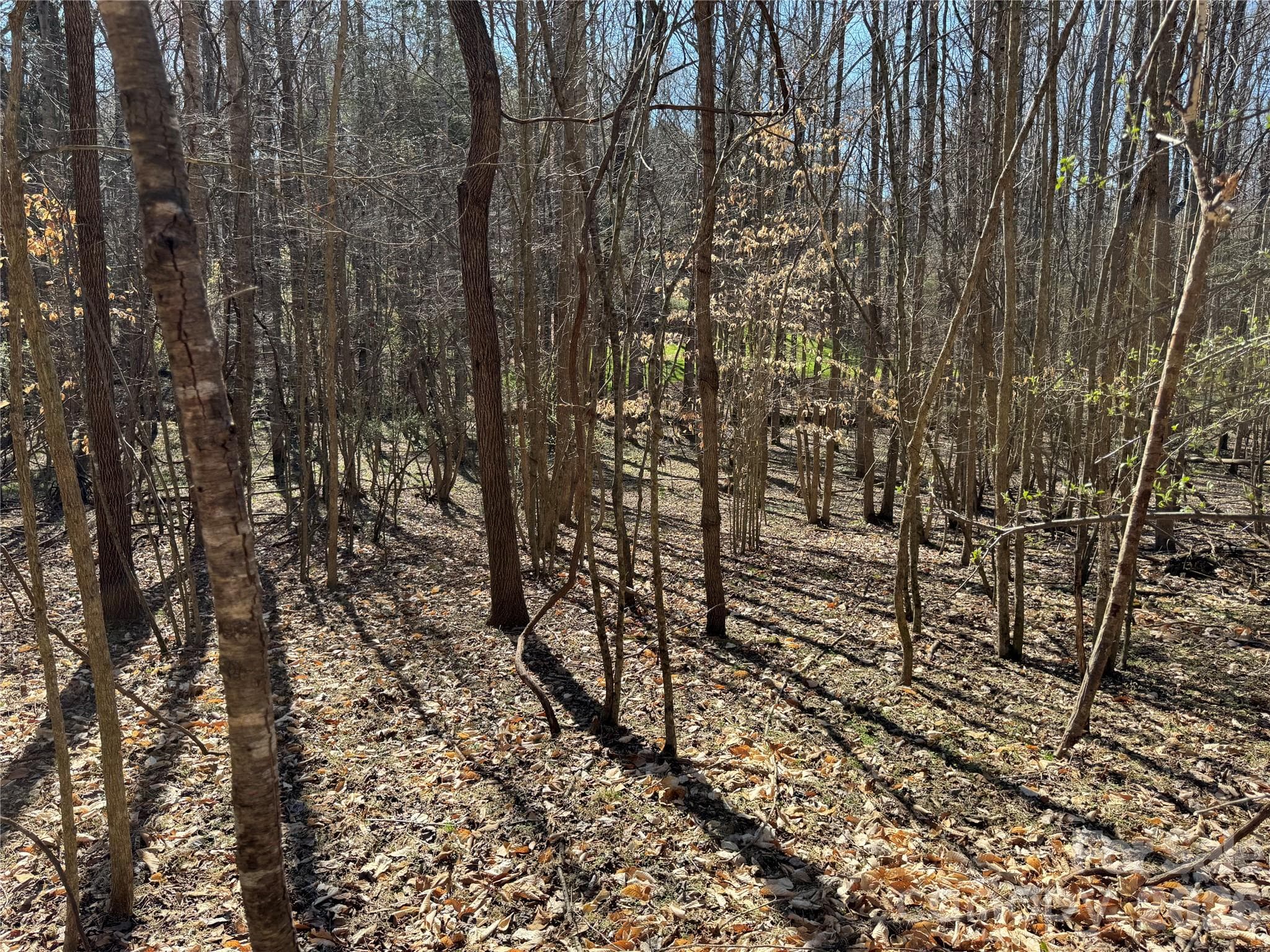 Lot at Davidson, photo 11 of 26