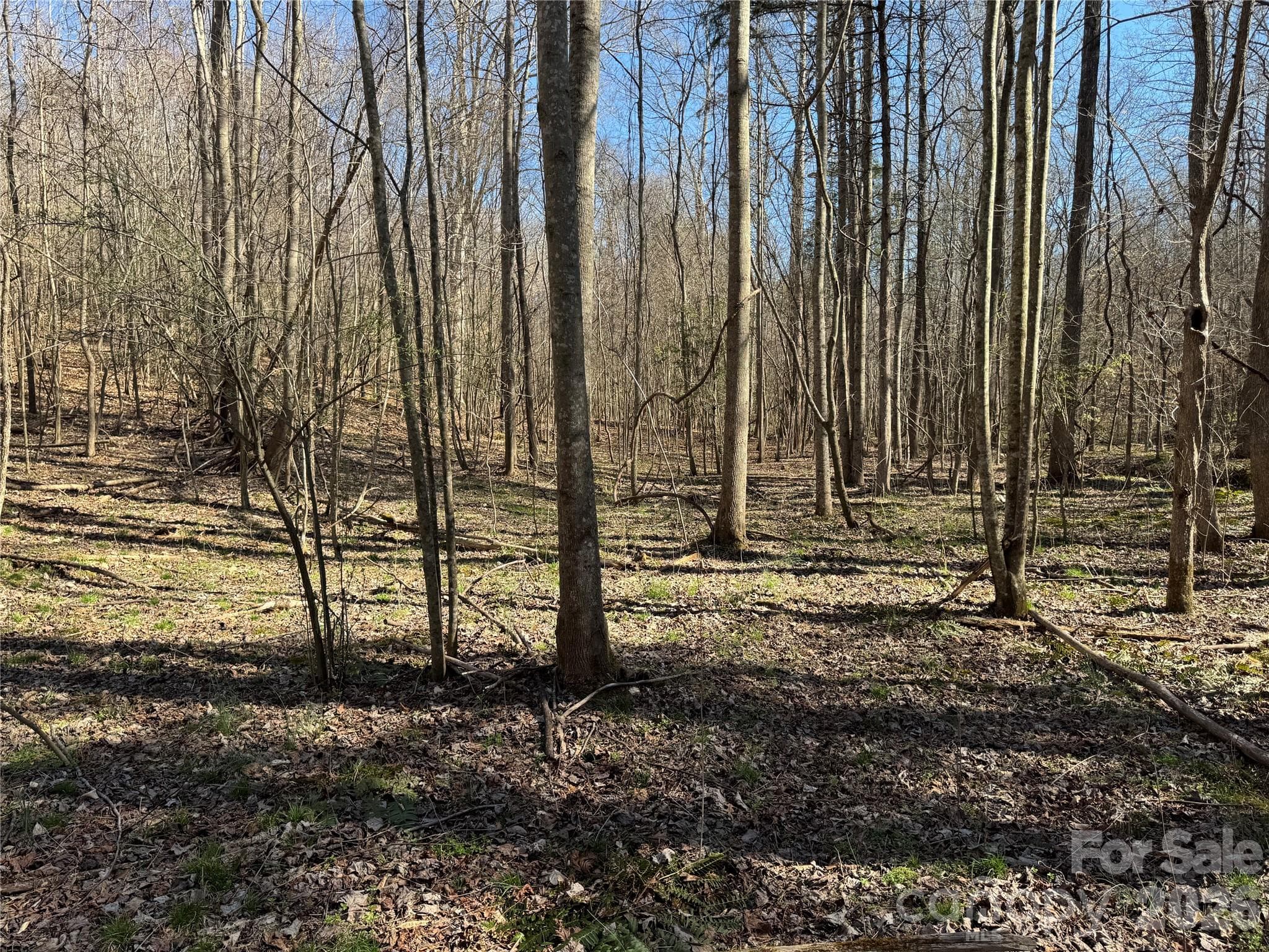 Lot at Davidson, photo 12 of 26