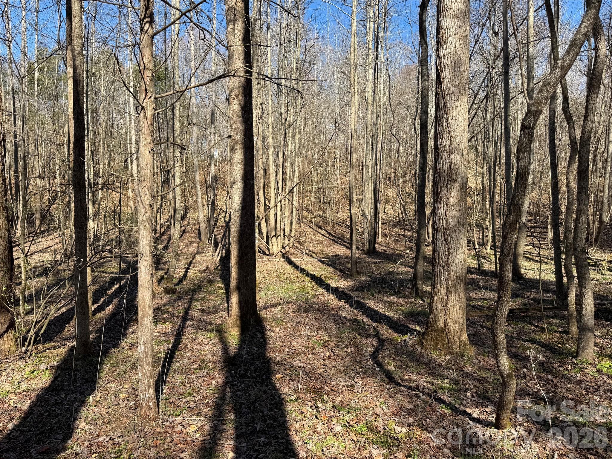 Lot at Davidson, photo 13 of 26