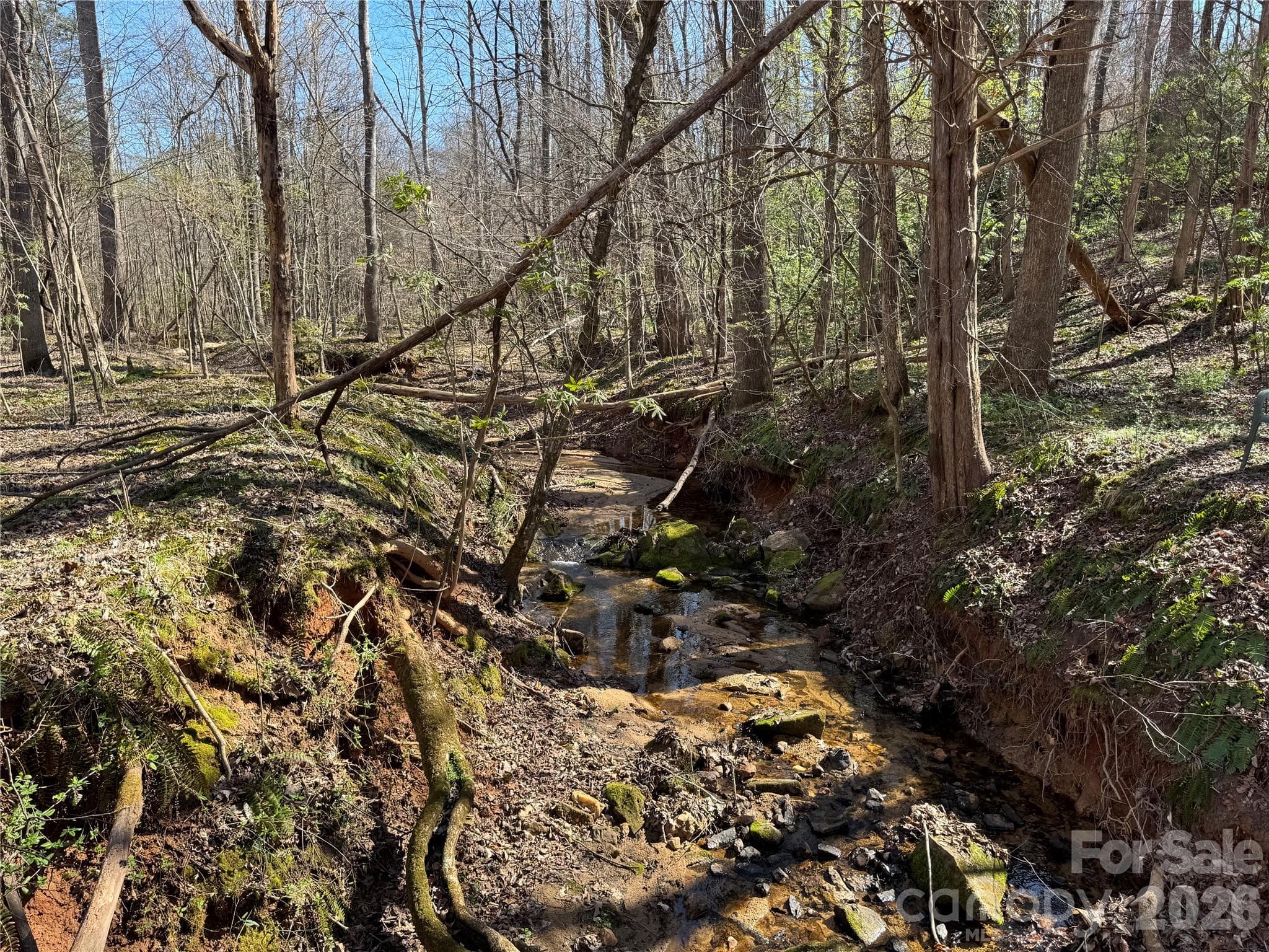 Lot at Davidson, photo 14 of 26