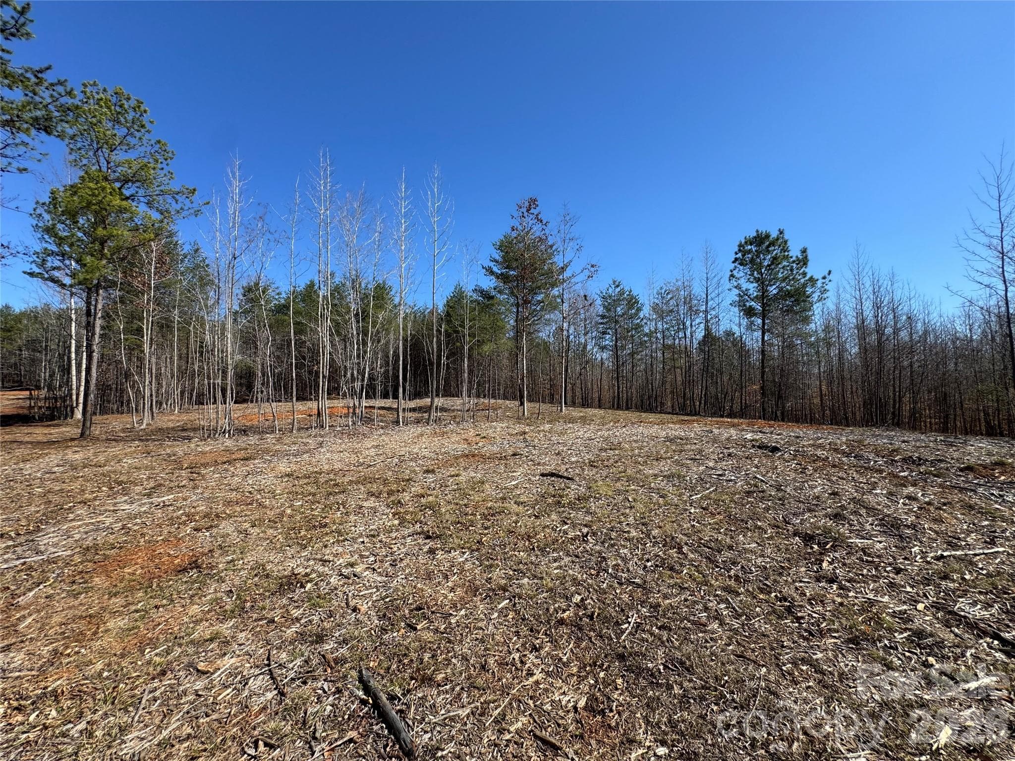 Lot at Davidson, photo 15 of 26