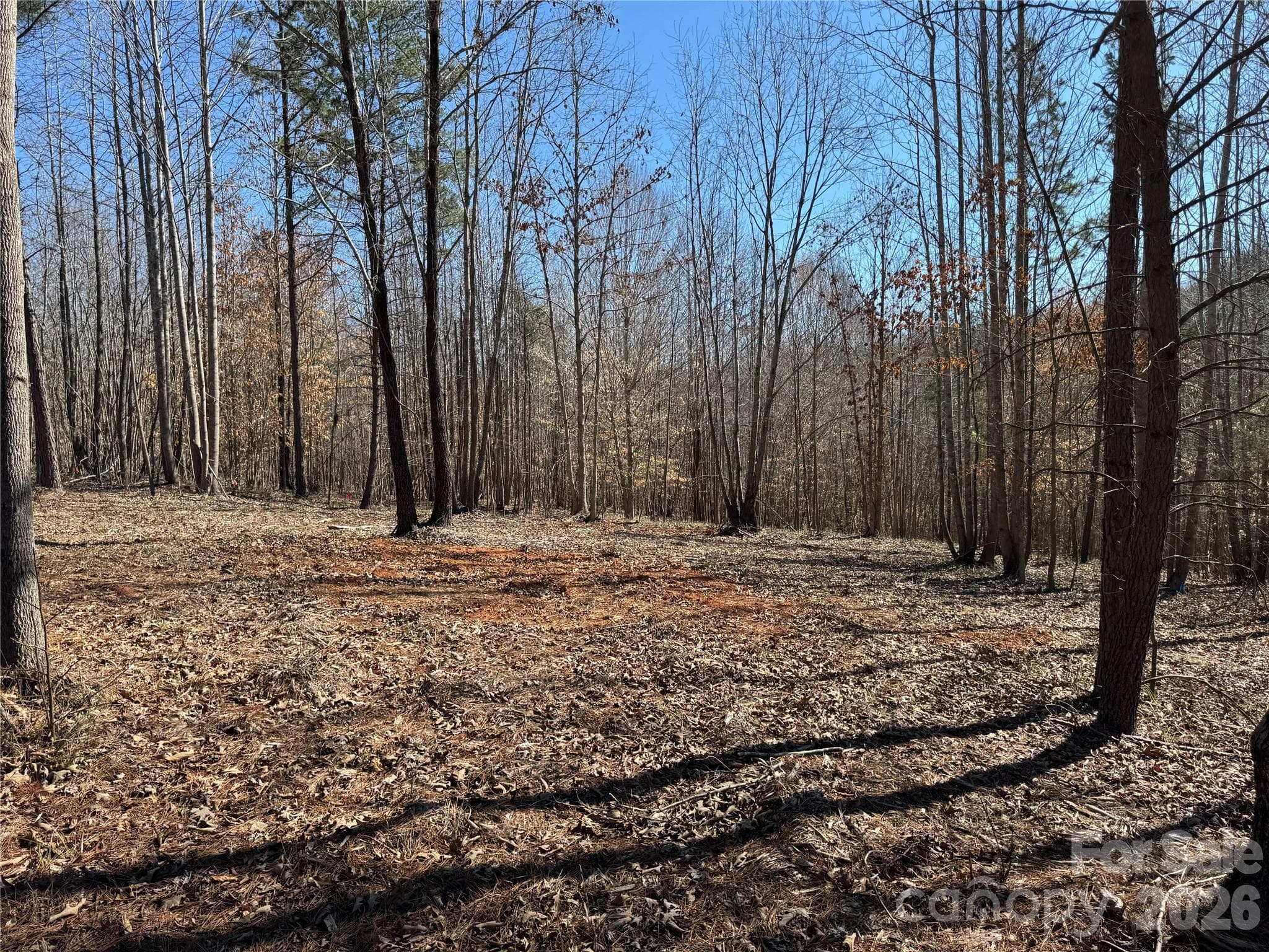 Lot at Davidson, photo 17 of 26