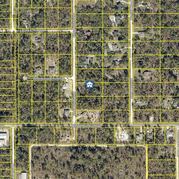 Land at LOT 8 NUTHATCH RD, WEEKI WACHEE, photo 2 of 4