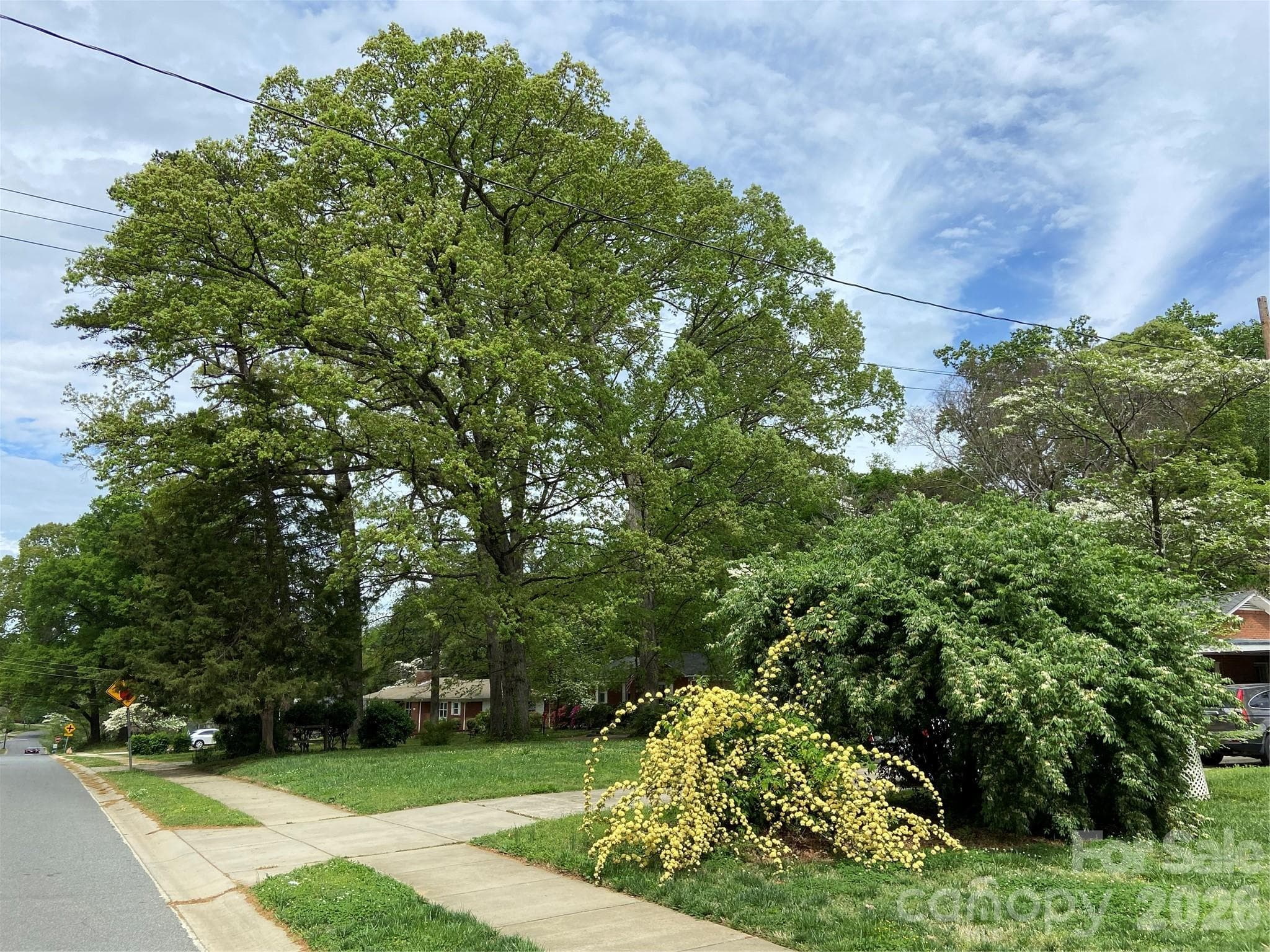 Street View - 3218 Driftwood Drive, Charlotte