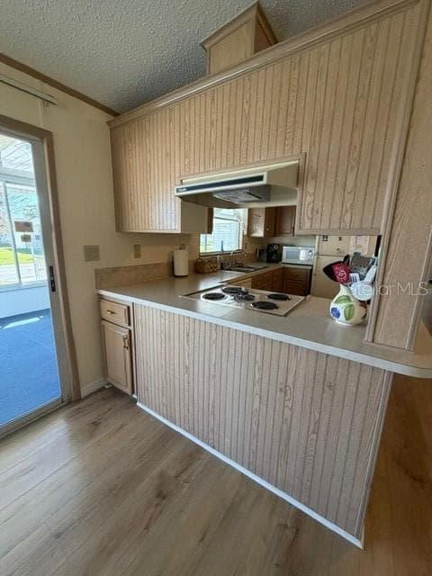 Manufactured Home at 194 ROSEWOOD DR, COCOA, photo 28 of 68