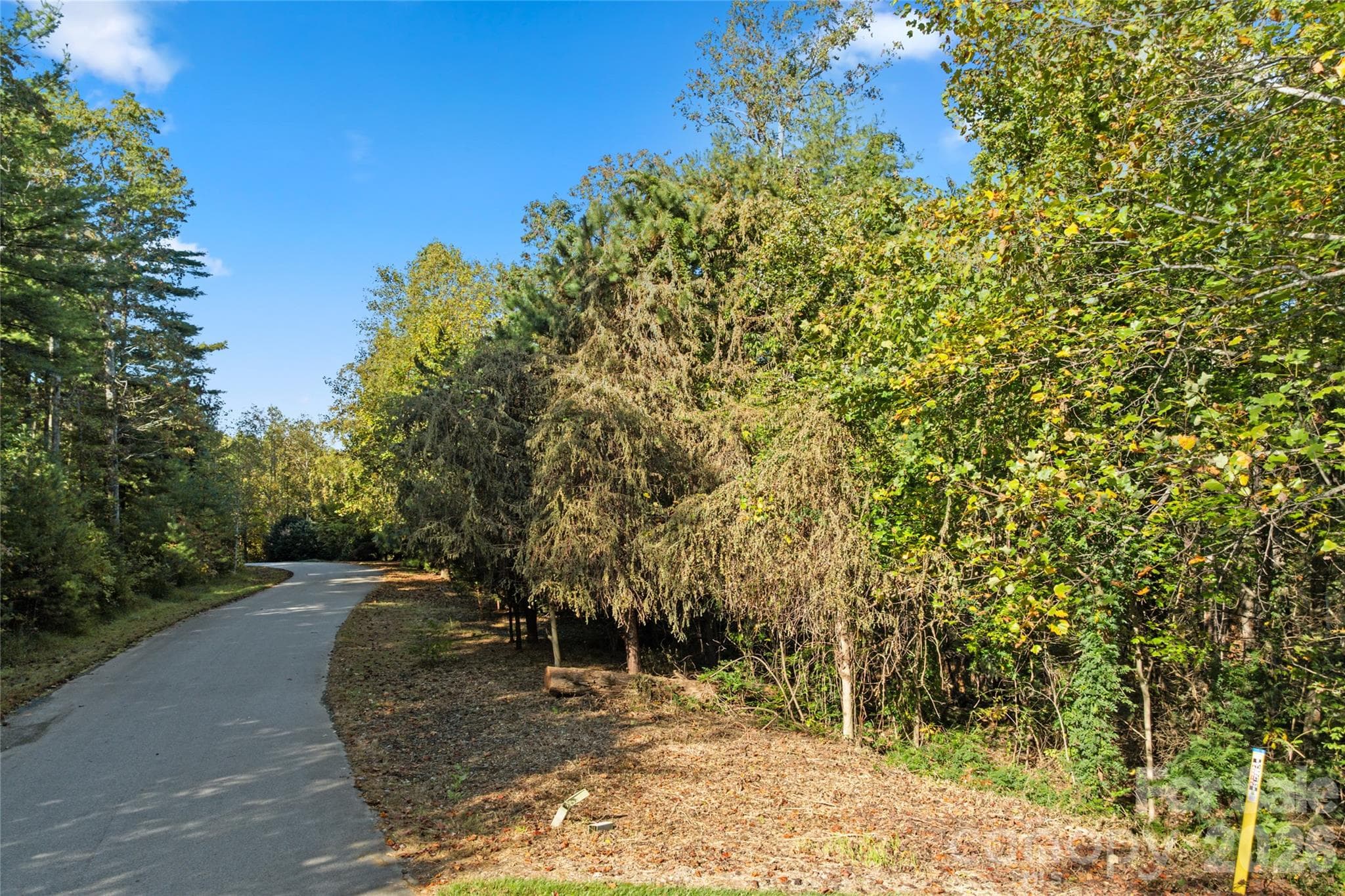 Facing west on Cedar Hill with lot on the right - Asheville